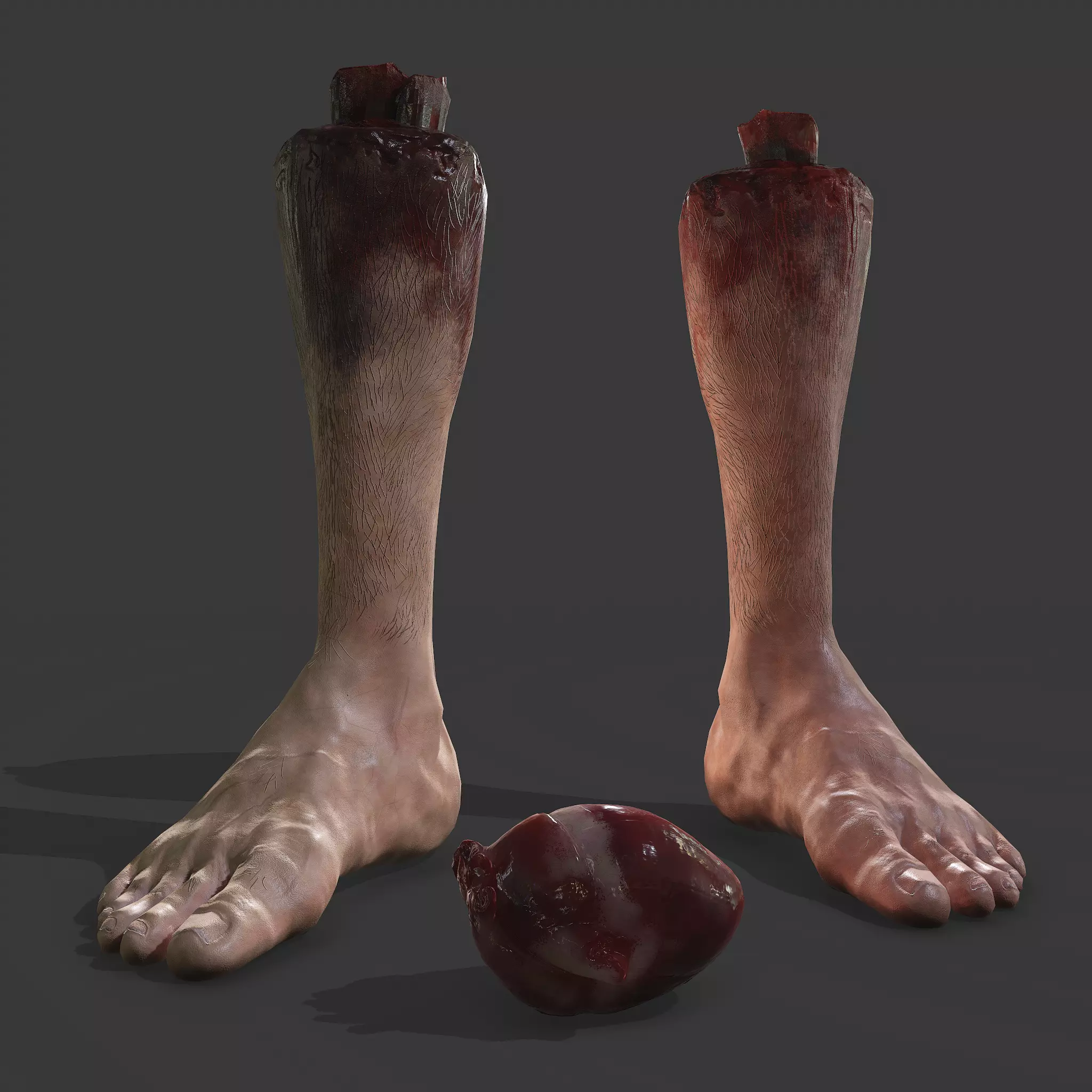 Severed Leg and Human Heart Pack