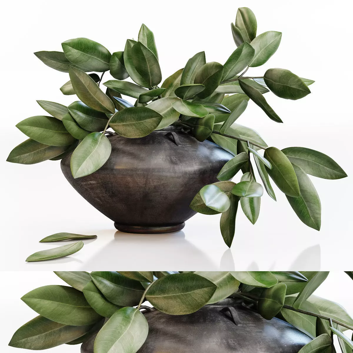 Amazing plant in black vase 3D model