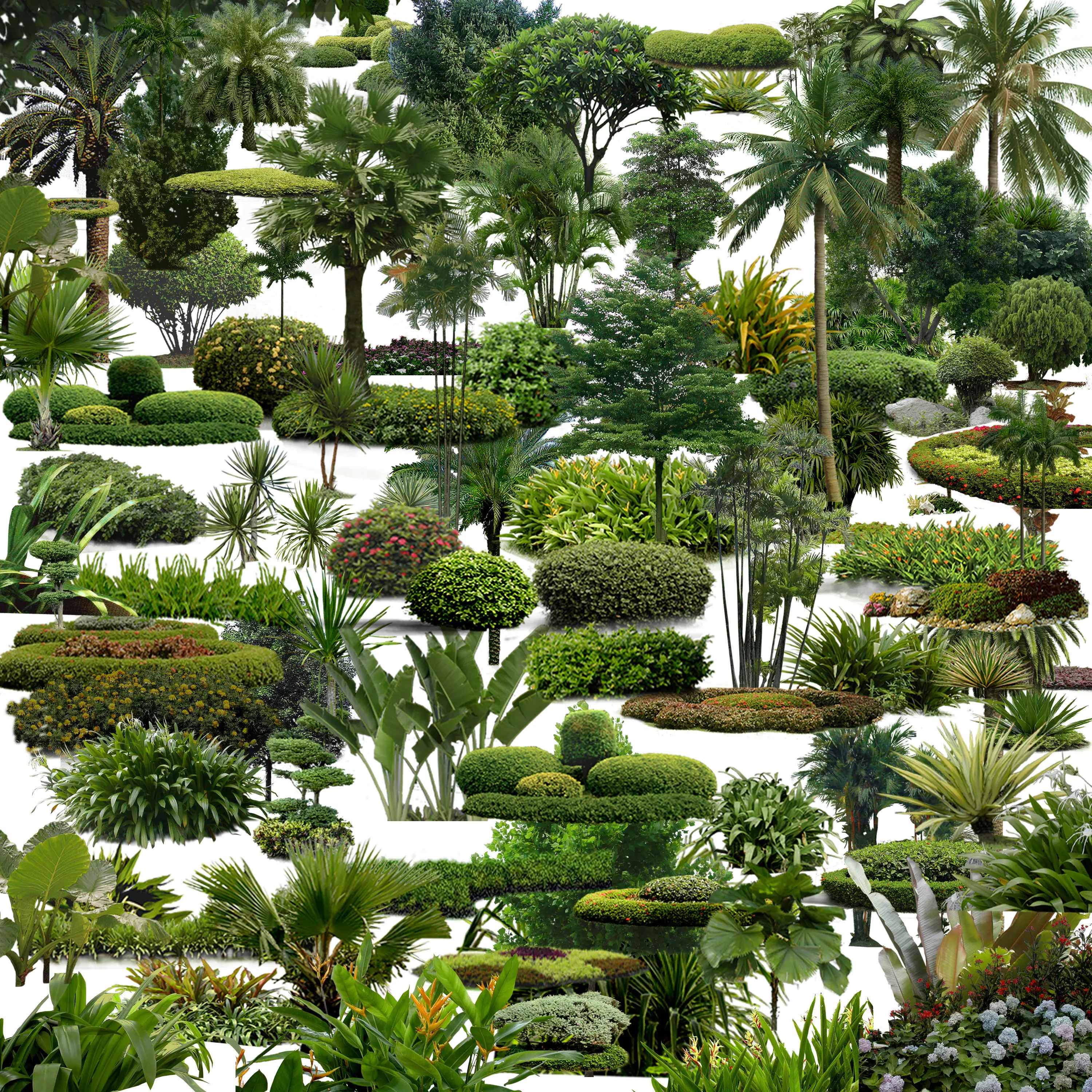 Plants Photohsop 3D model_0