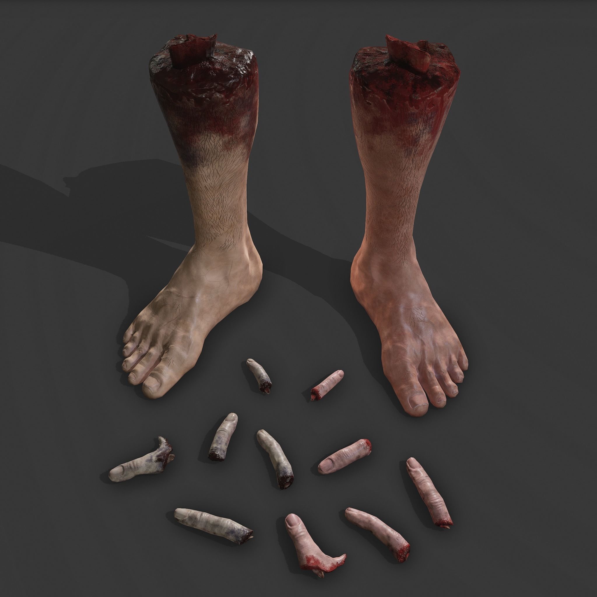 Severed Leg and Severed Fingers Pack 3D Model Collection_11