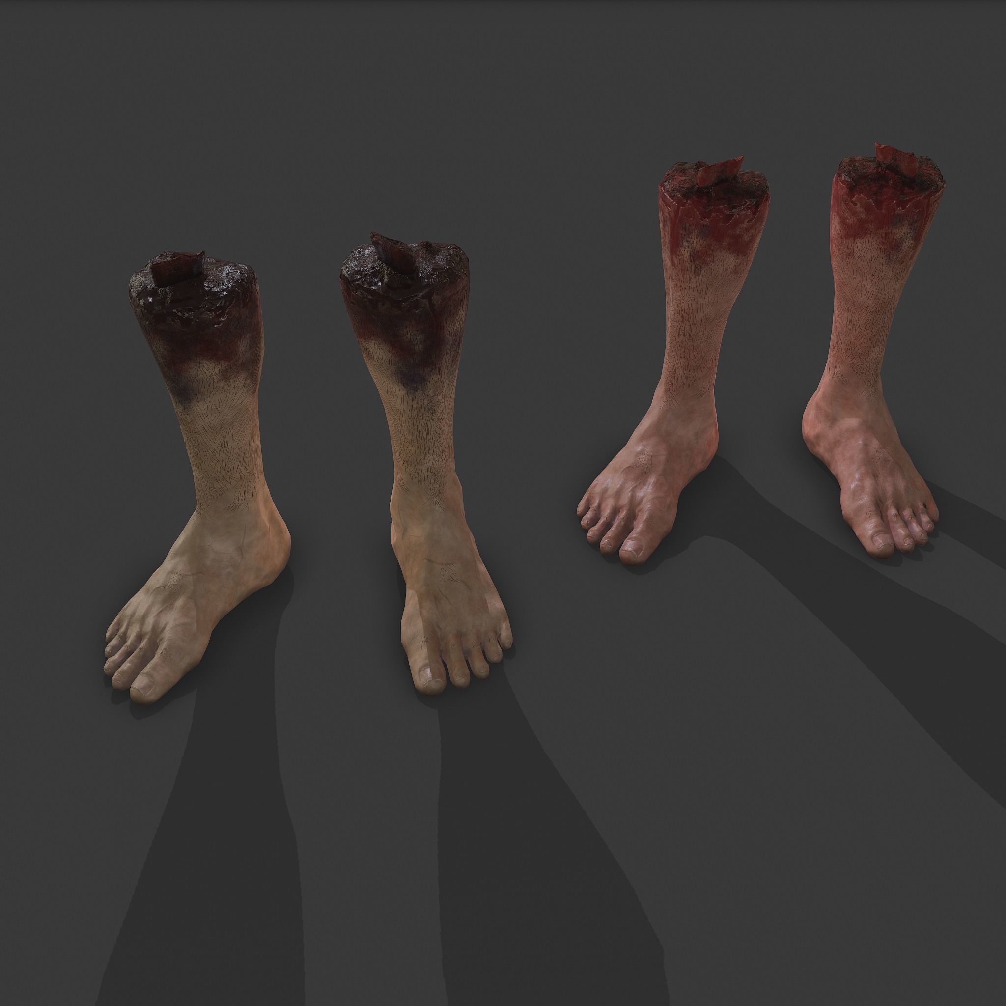 Severed Leg and Severed Fingers Pack 3D Model Collection_30