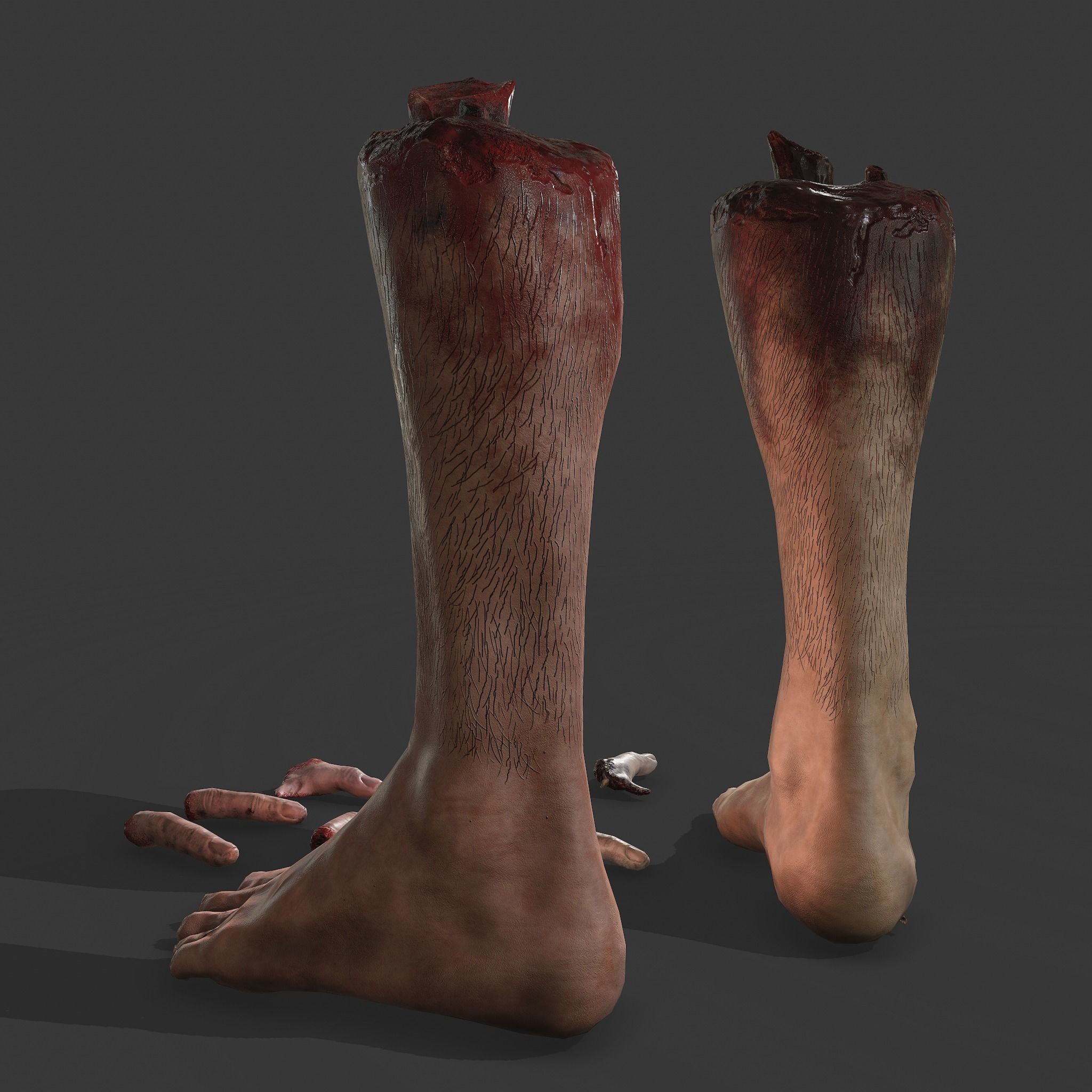 Severed Leg and Severed Fingers Pack 3D Model Collection_6