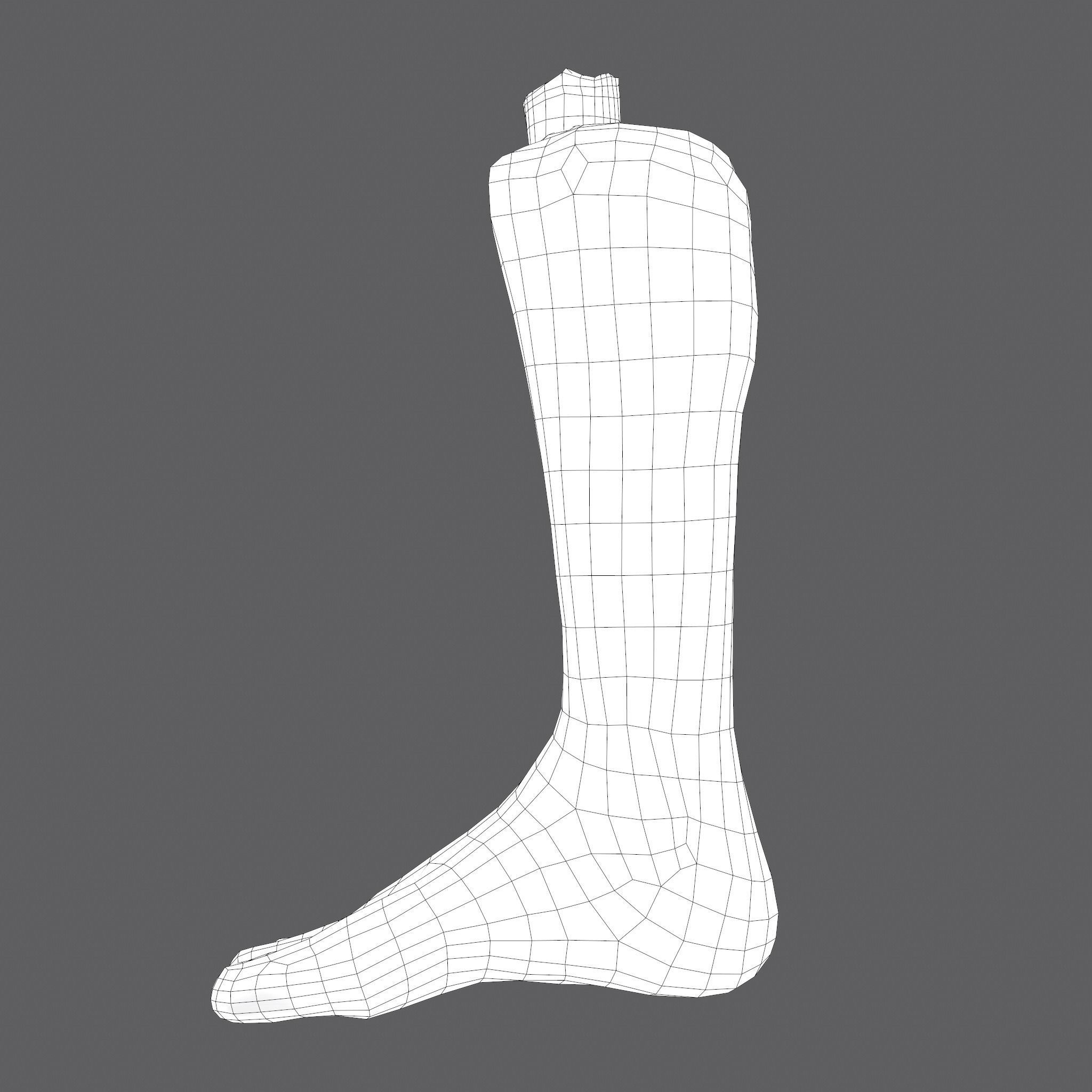 Severed Leg and Severed Fingers Pack 3D Model Collection_57