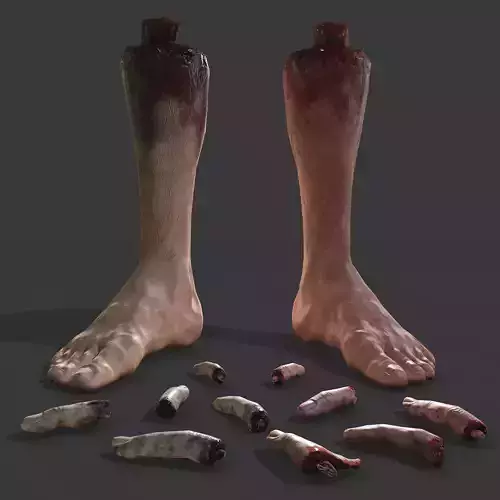 Severed Leg and Severed Fingers Pack 3D Model Collection