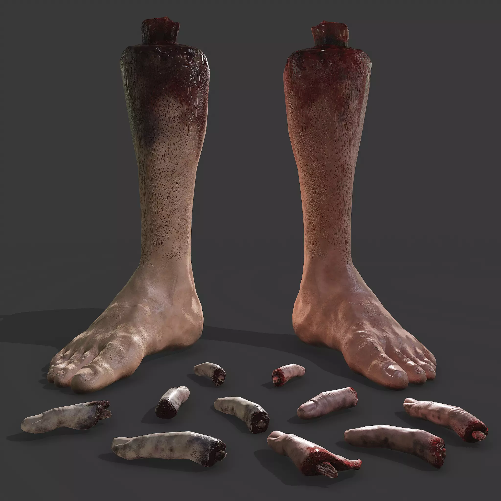 Severed Leg and Severed Fingers Pack 3D Model Collection_0