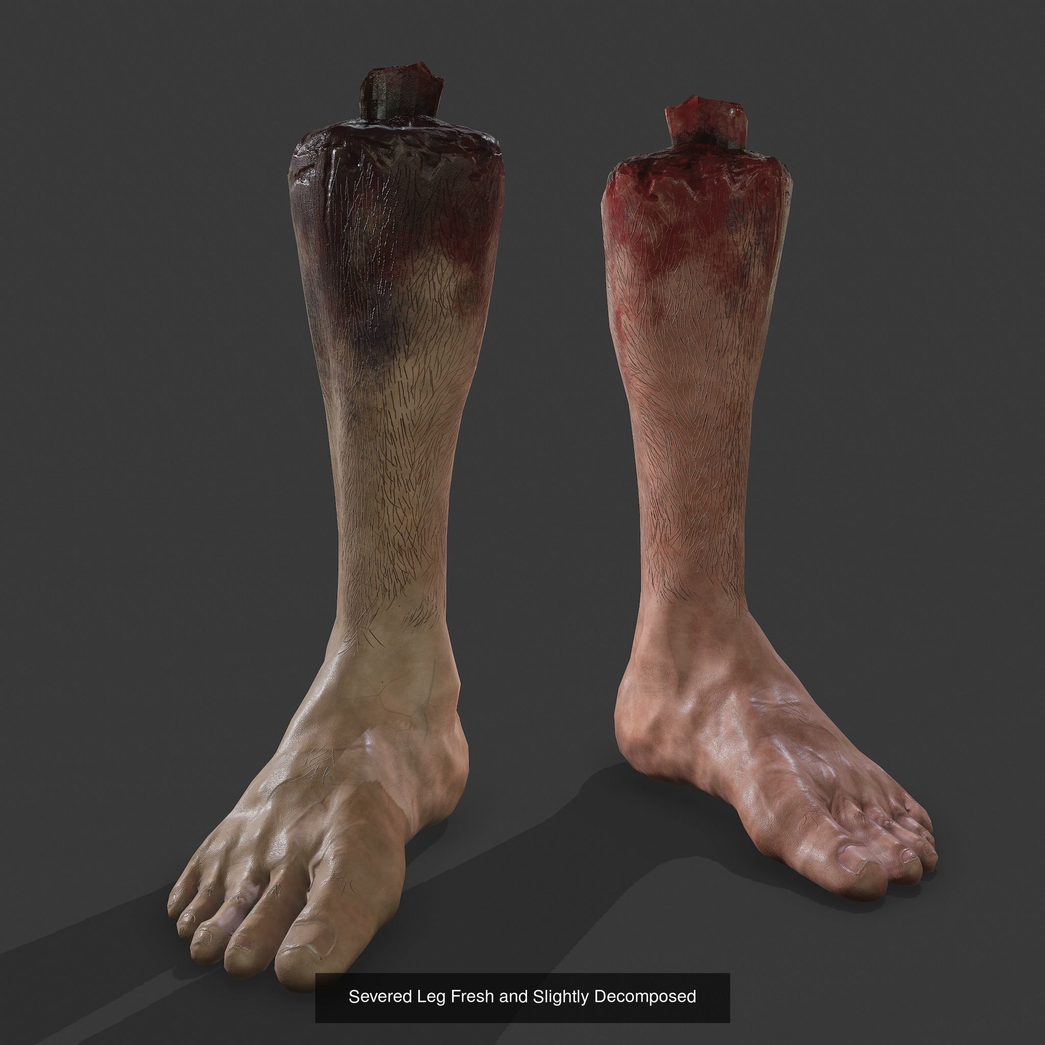 Severed Leg and Severed Fingers Pack 3D Model Collection_15
