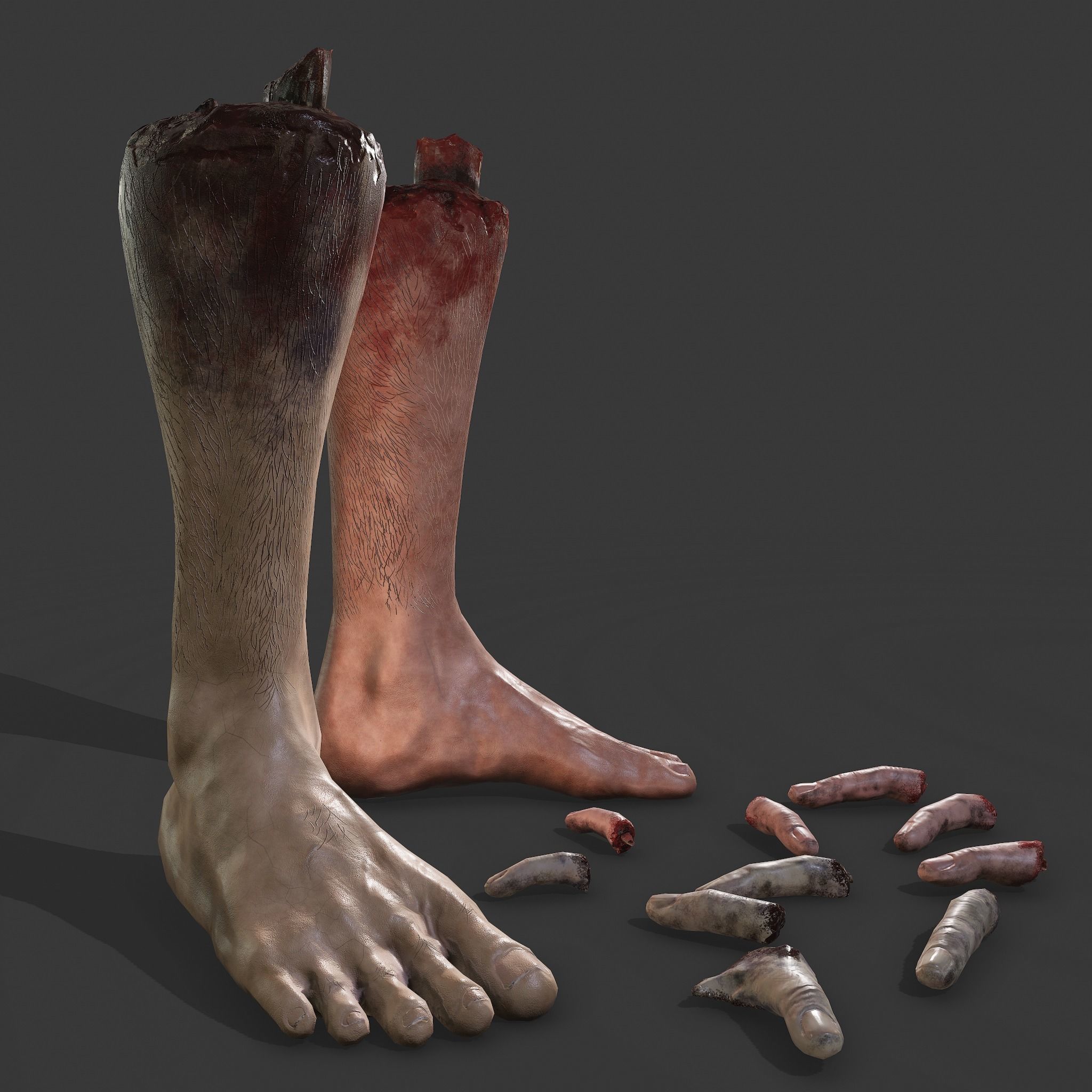 Severed Leg and Severed Fingers Pack 3D Model Collection_5