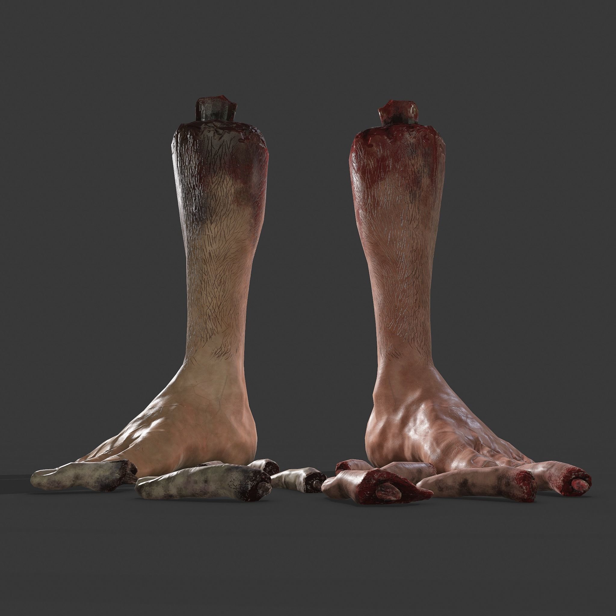 Severed Leg and Severed Fingers Pack 3D Model Collection_8