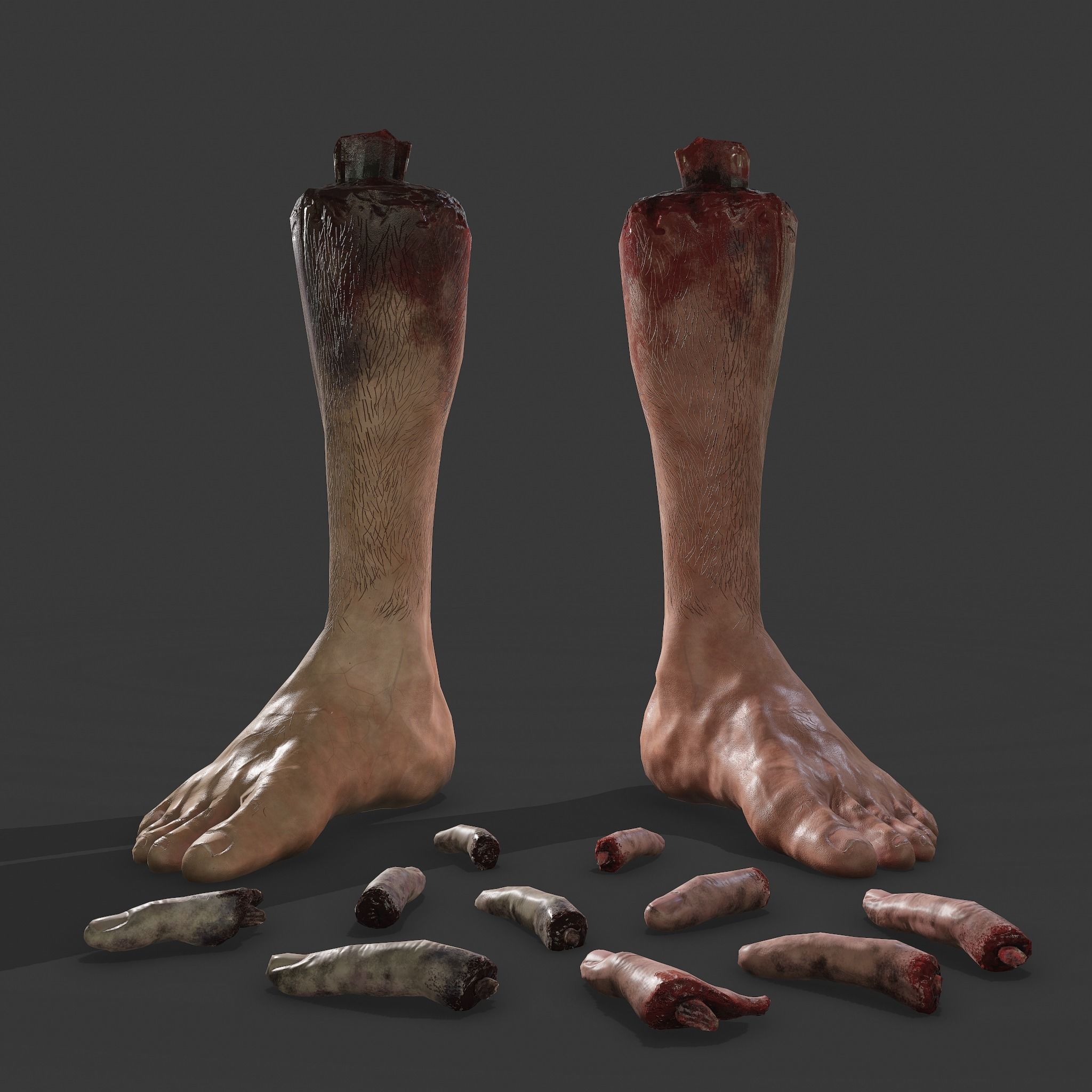 Severed Leg and Severed Fingers Pack 3D Model Collection_9