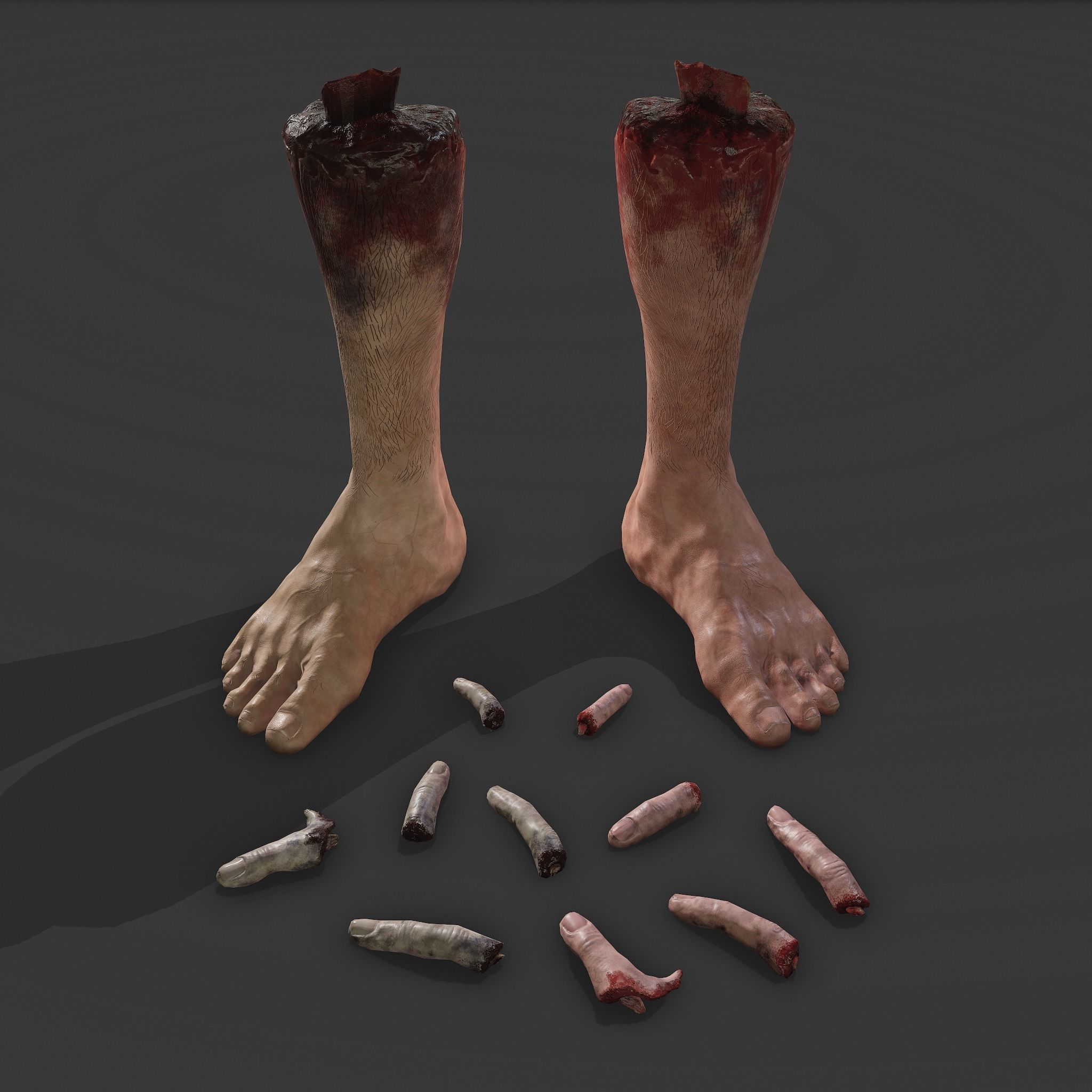 Severed Leg and Severed Fingers Pack 3D Model Collection_10