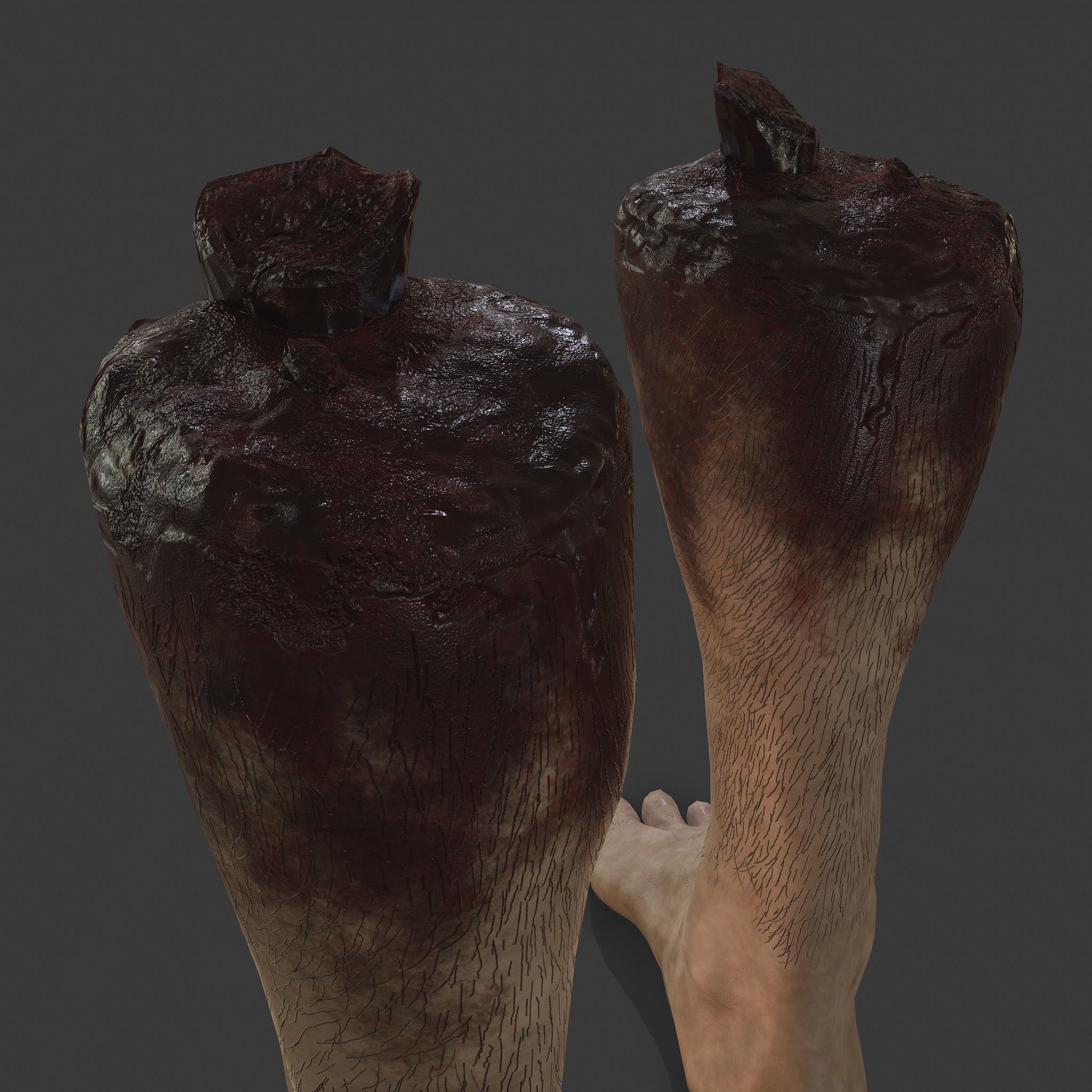 Severed Leg and Severed Fingers Pack 3D Model Collection_35