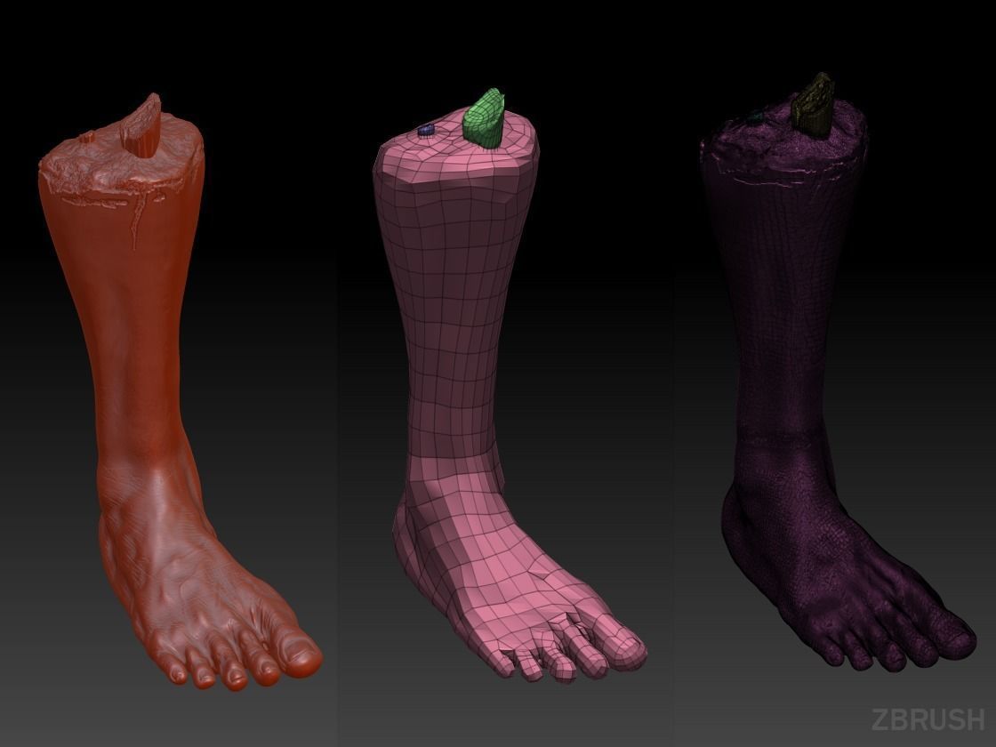 Severed Leg and Severed Fingers Pack 3D Model Collection_53