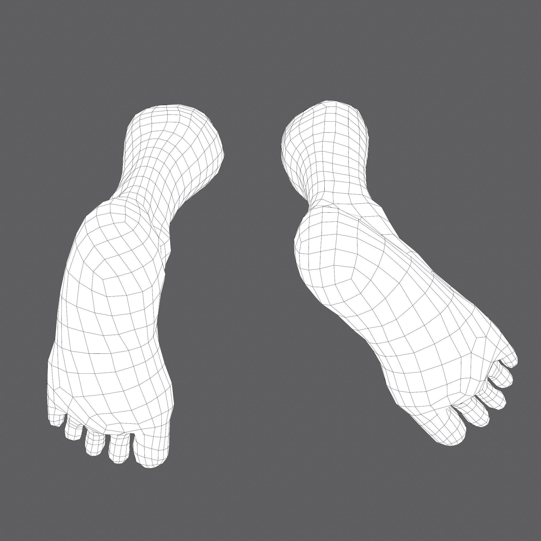 Severed Leg and Severed Fingers Pack 3D Model Collection_66