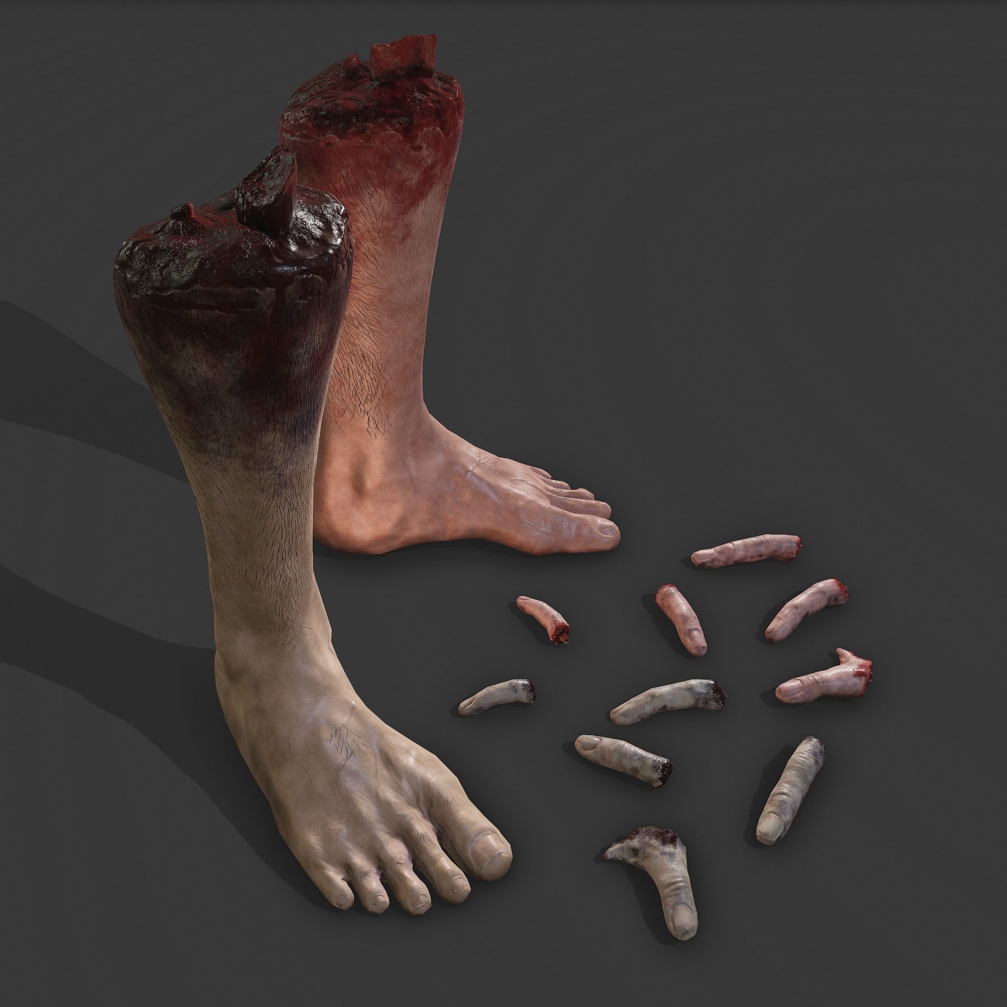 Severed Leg and Severed Fingers Pack 3D Model Collection_7