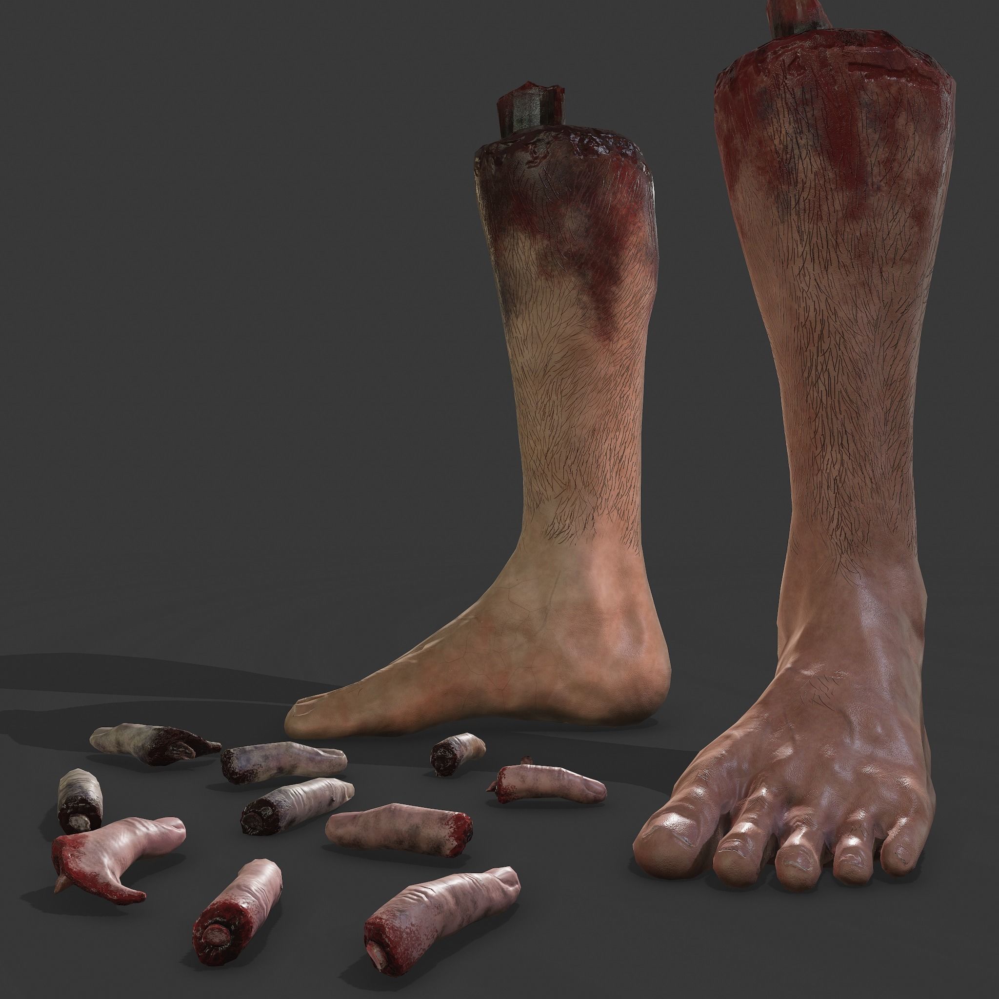 Severed Leg and Severed Fingers Pack 3D Model Collection_4