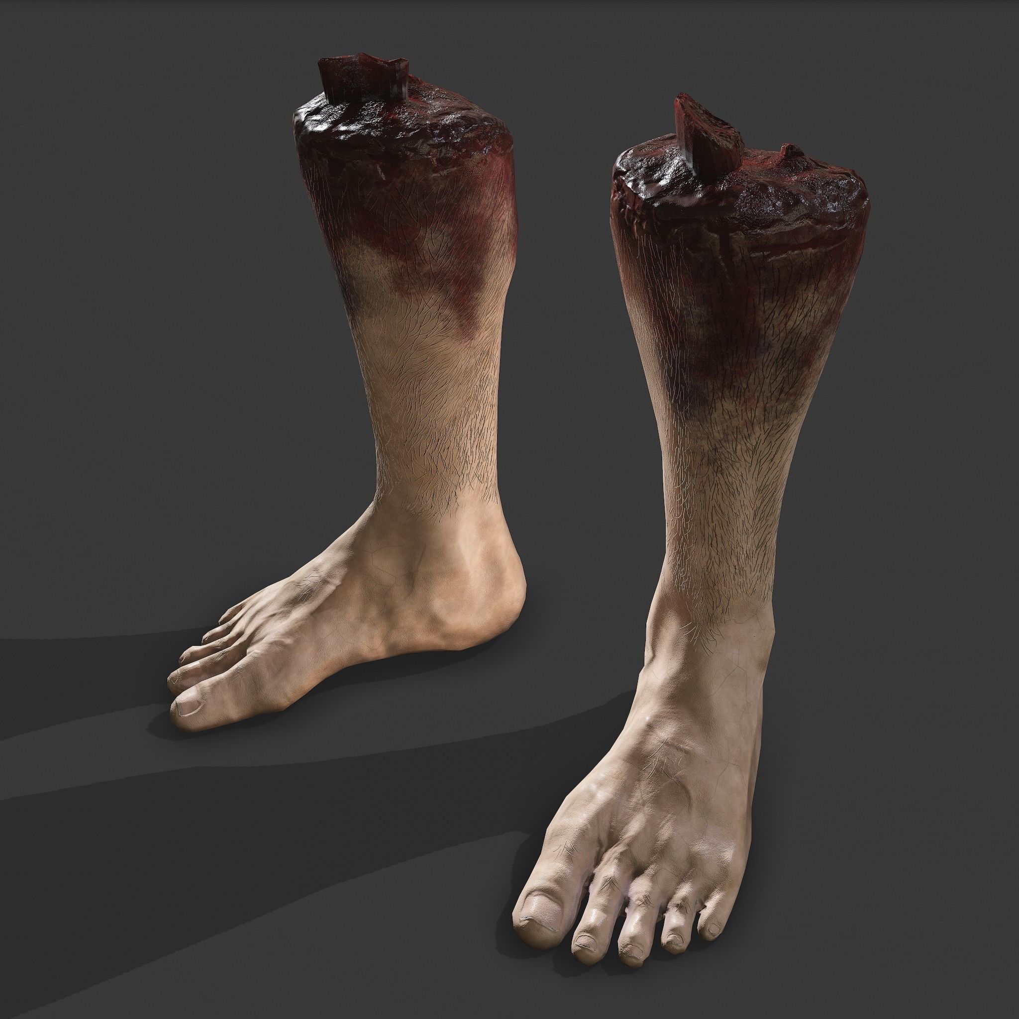 Severed Leg and Severed Fingers Pack 3D Model Collection_23