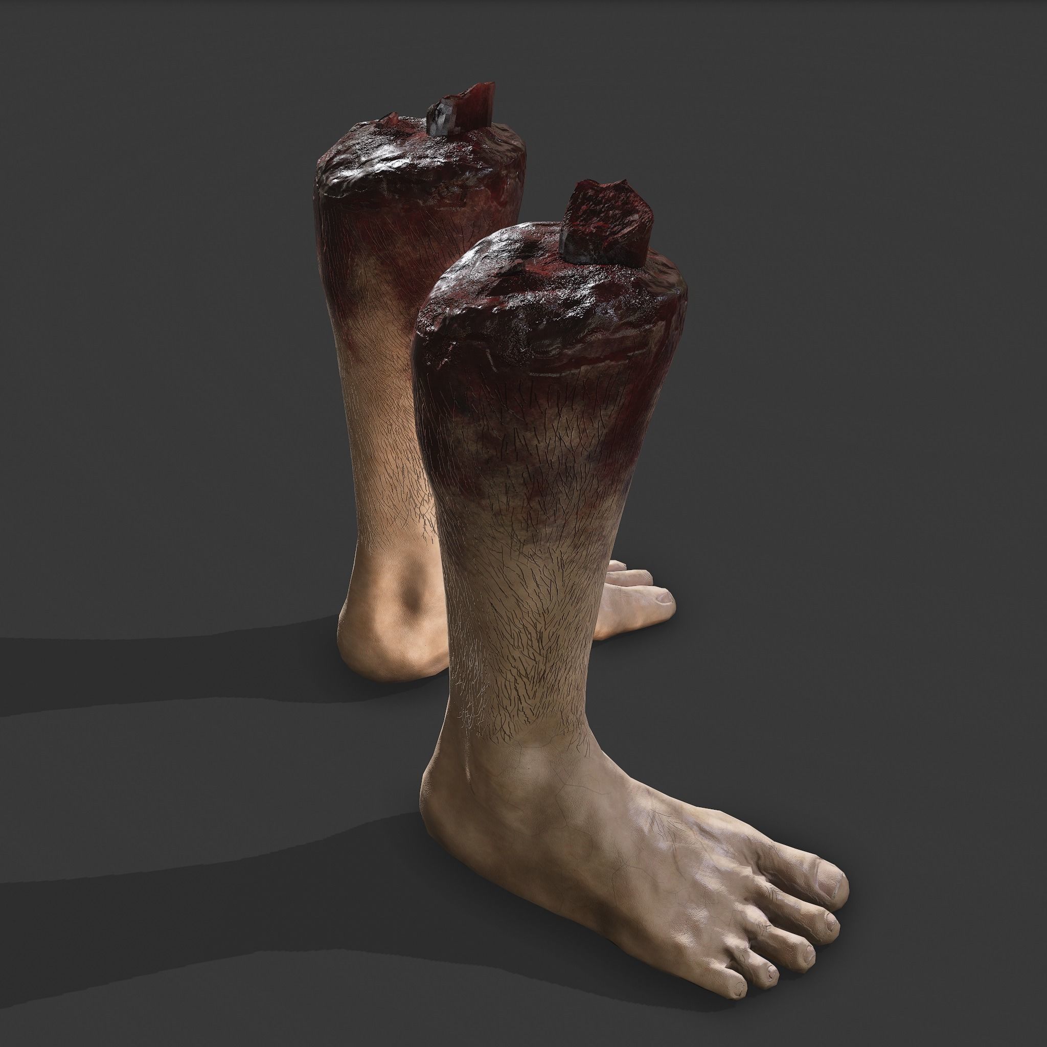 Severed Leg and Severed Fingers Pack 3D Model Collection_21