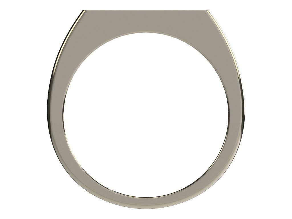 Ring 0248 3D print model_3