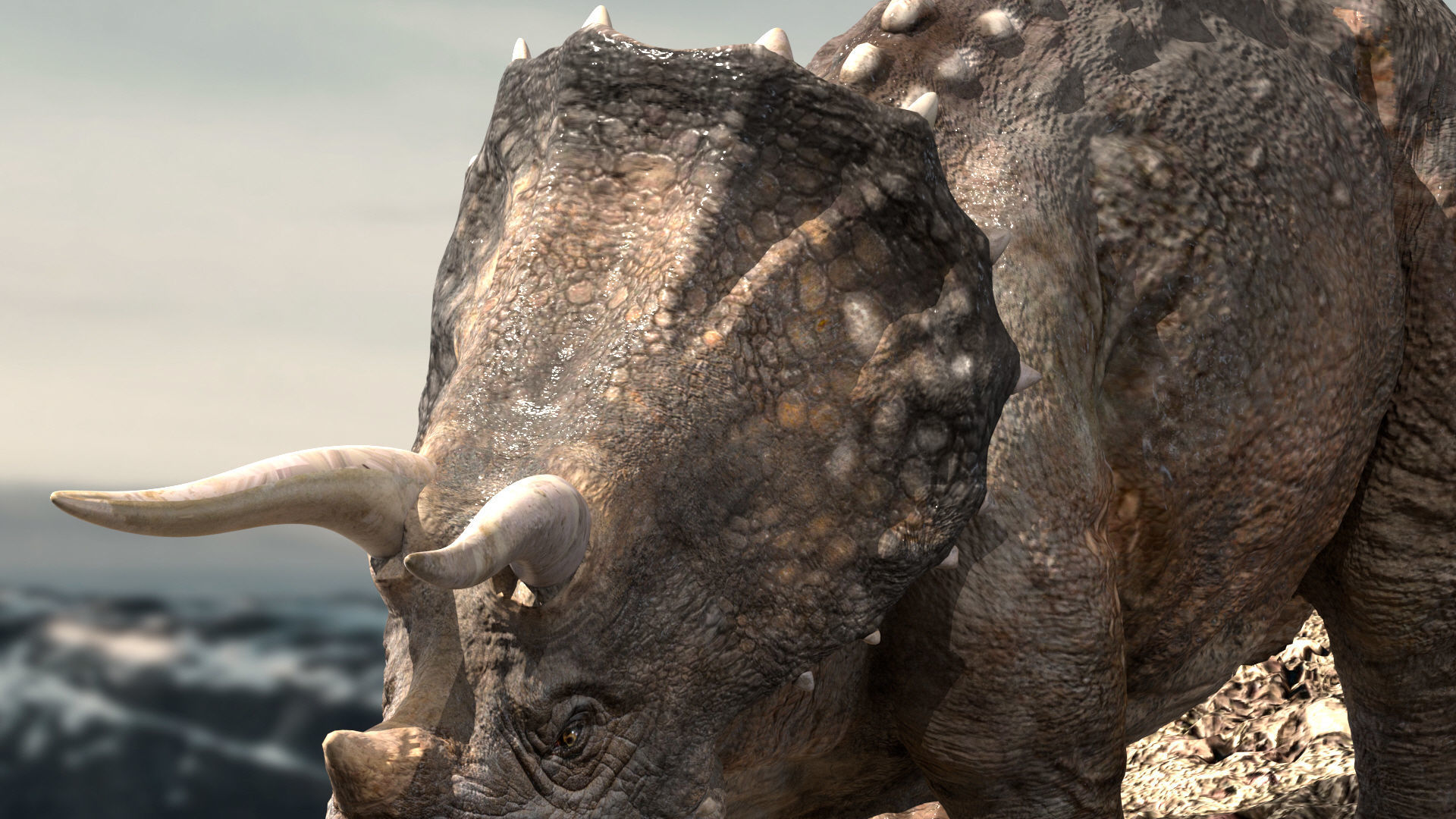 Triceratops Rigged 3D model Low-poly 3D model_12