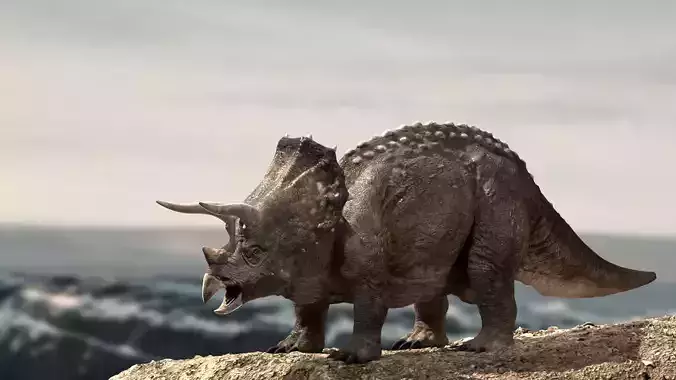 Triceratops Rigged 3D model Low-poly 3D model
