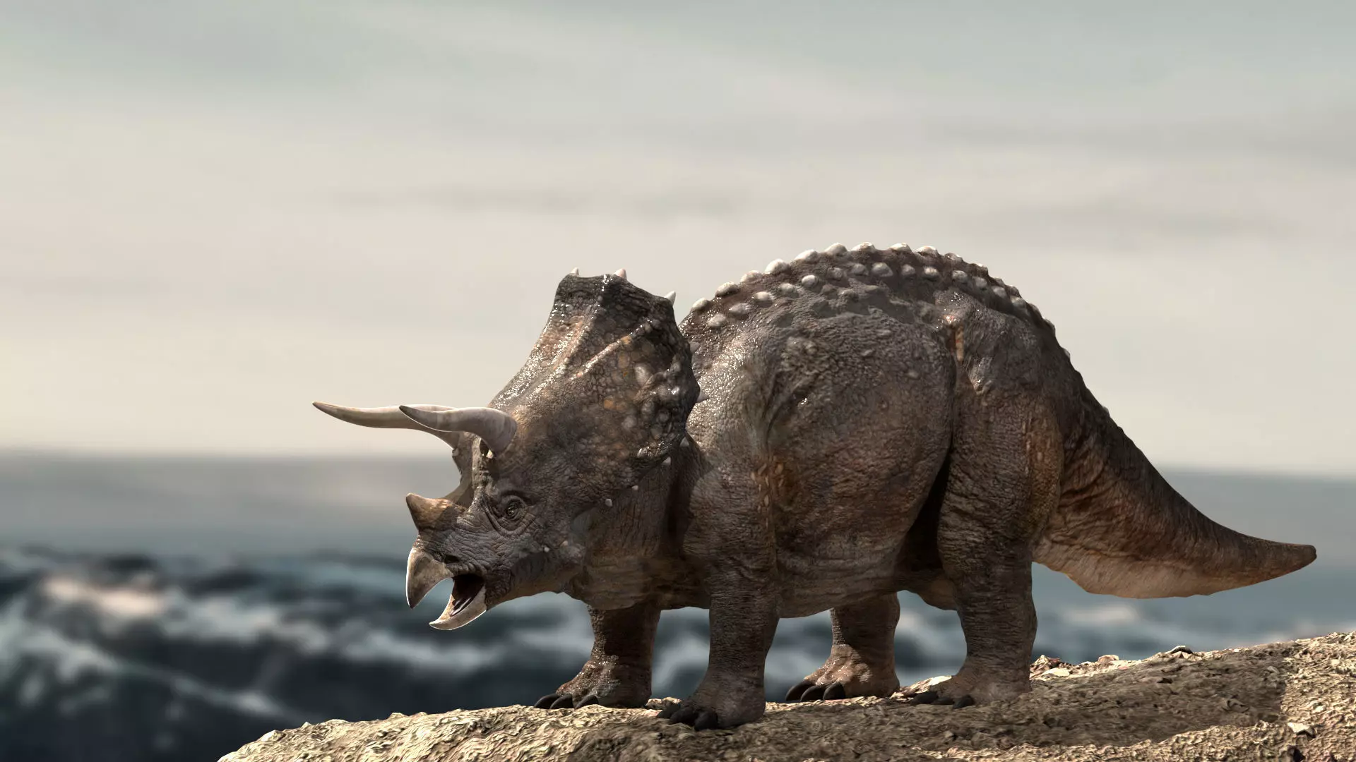 Triceratops Rigged 3D model Low-poly 3D model_0