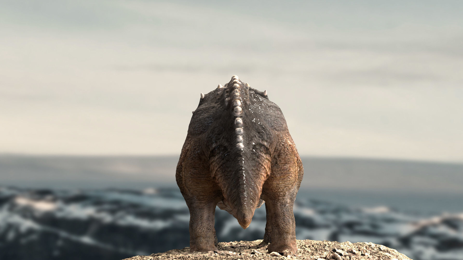 Triceratops Rigged 3D model Low-poly 3D model_4