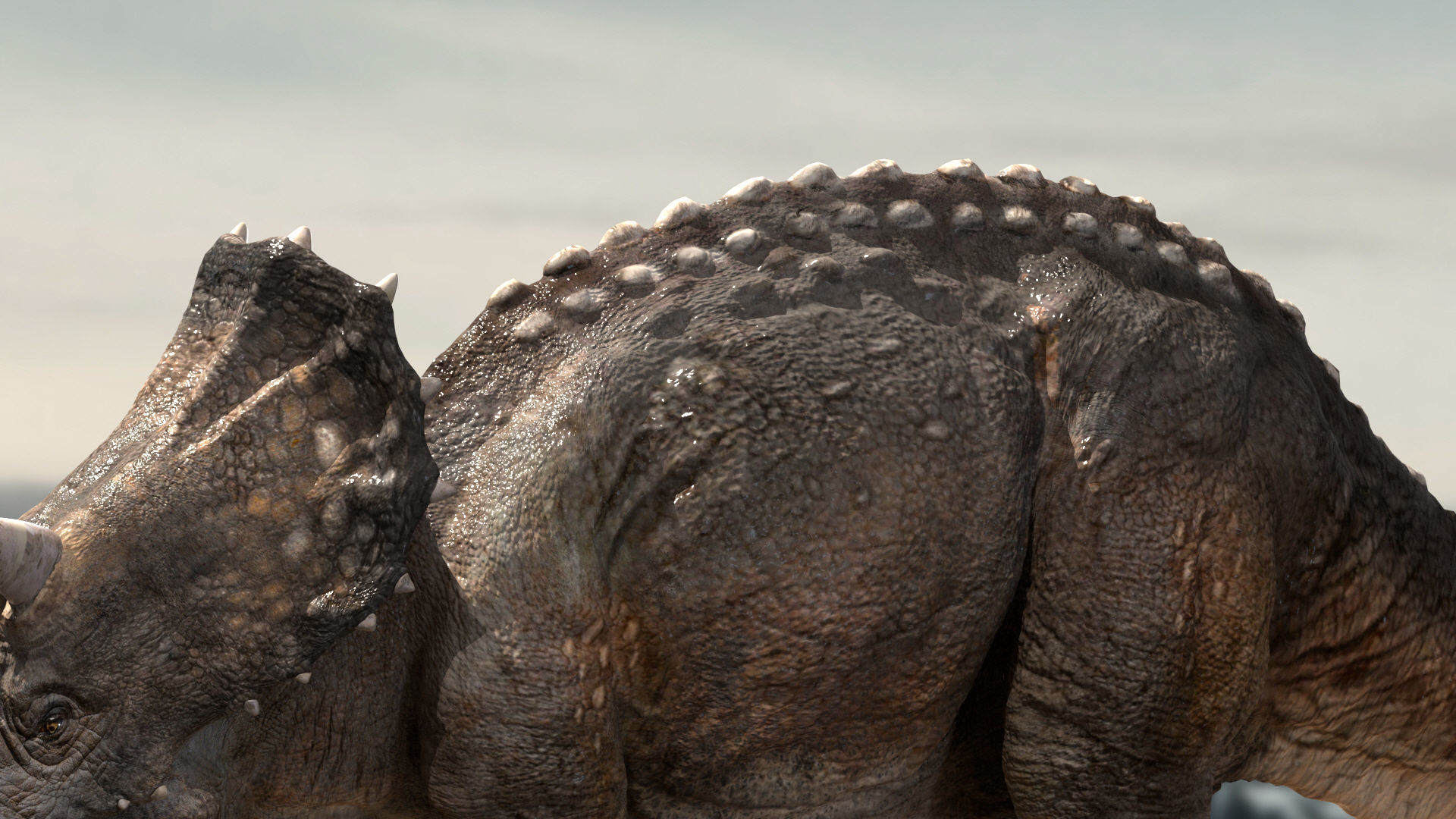 Triceratops Rigged 3D model Low-poly 3D model_8