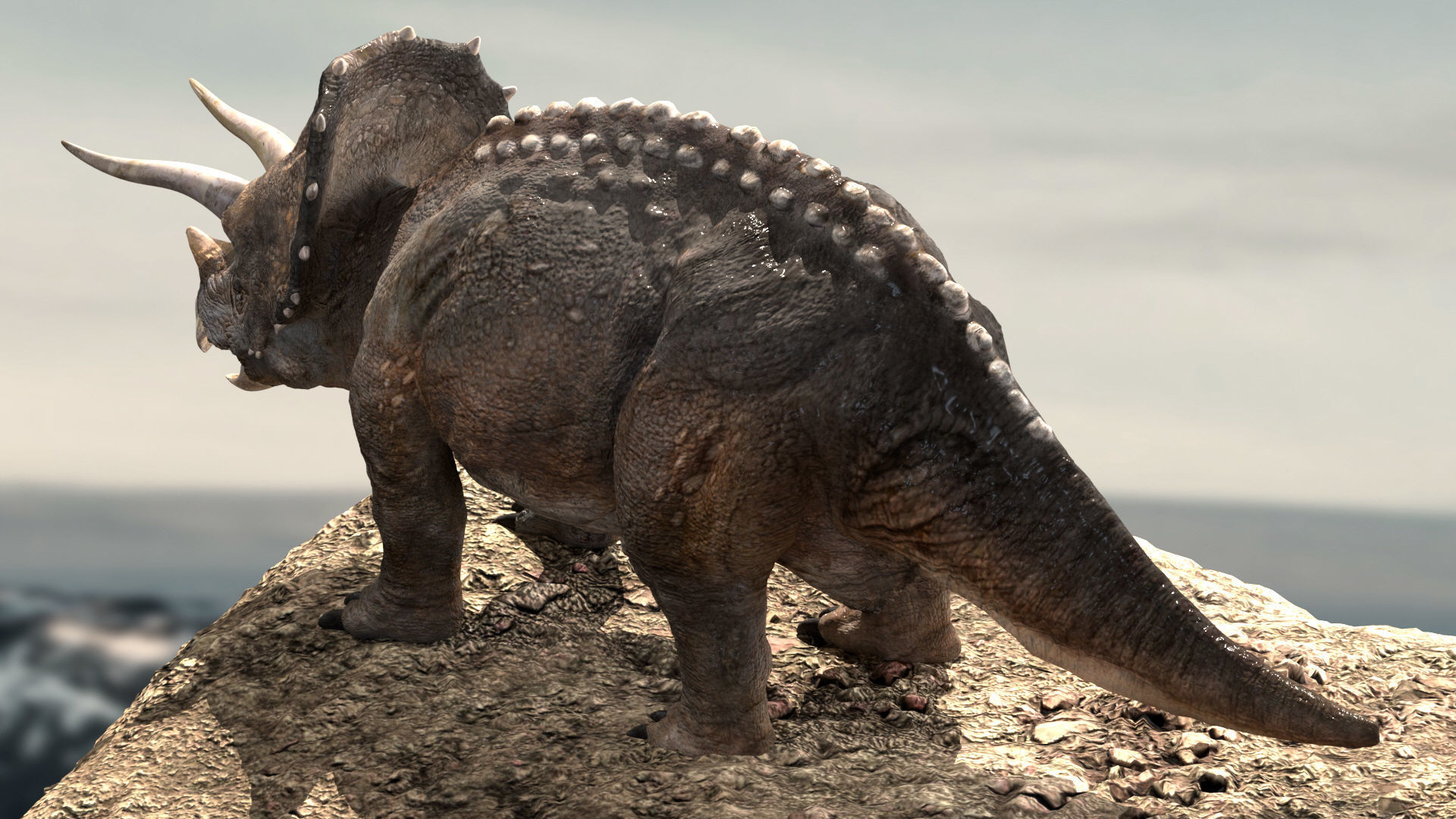 Triceratops Rigged 3D model Low-poly 3D model_10