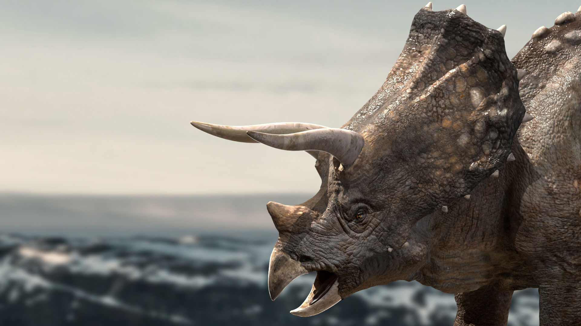 Triceratops Rigged 3D model Low-poly 3D model_7
