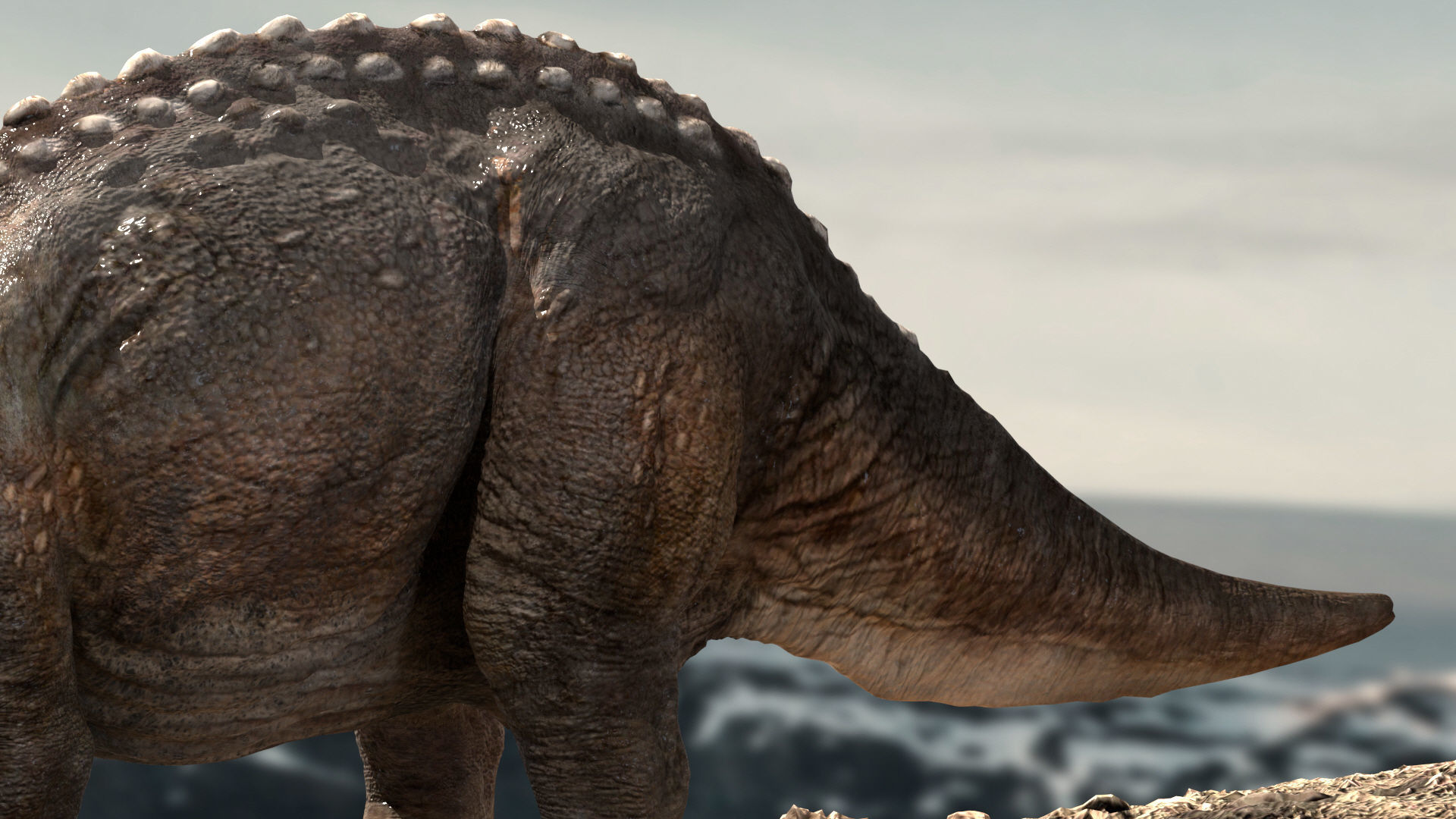 Triceratops Rigged 3D model Low-poly 3D model_9