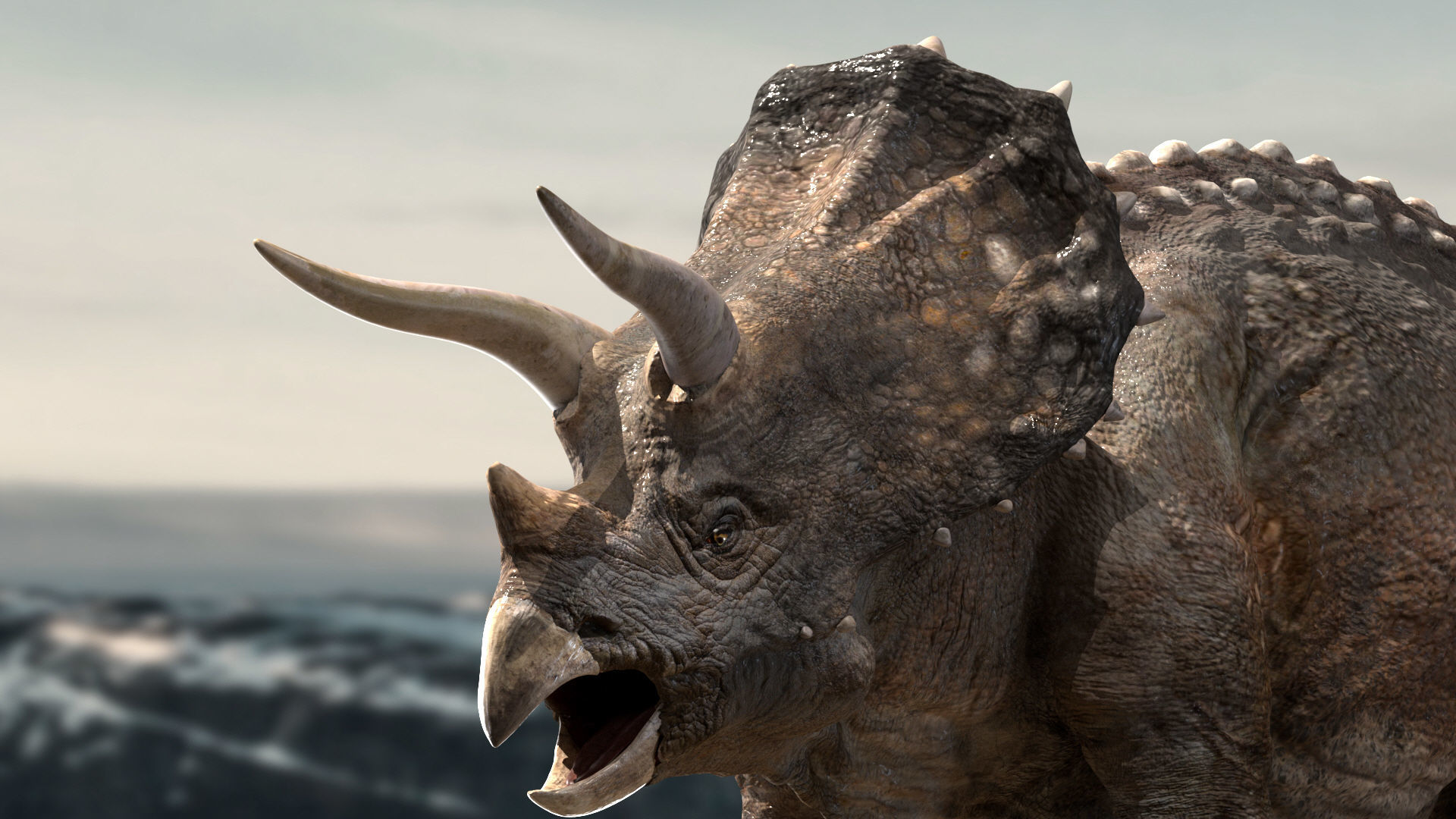 Triceratops Rigged 3D model Low-poly 3D model_6