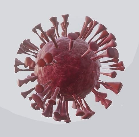 Coronavirus Free 3D model