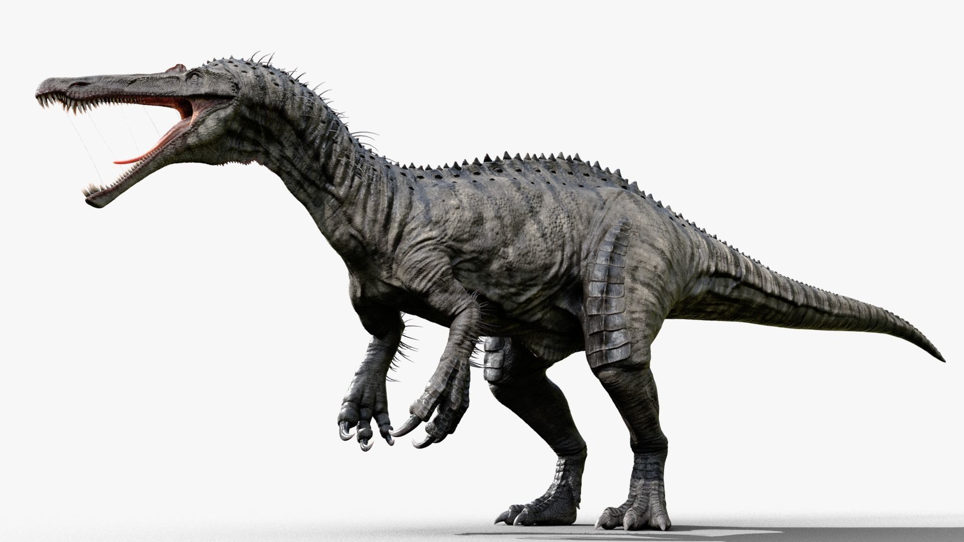 Suchomimus tenerensis Low-poly 3D model_1