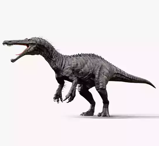Suchomimus tenerensis Low-poly 3D model