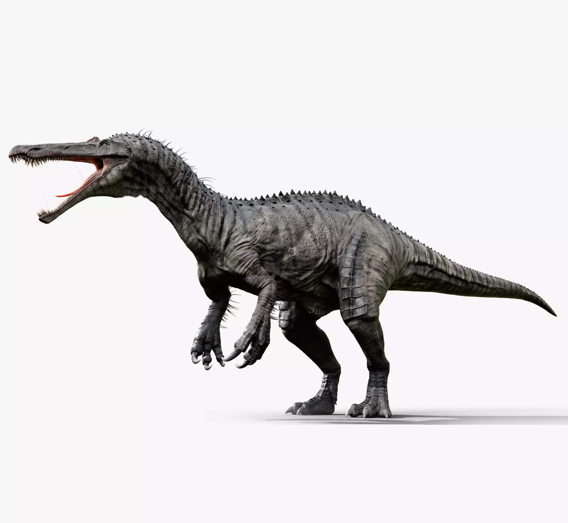 Suchomimus tenerensis Low-poly 3D model_0