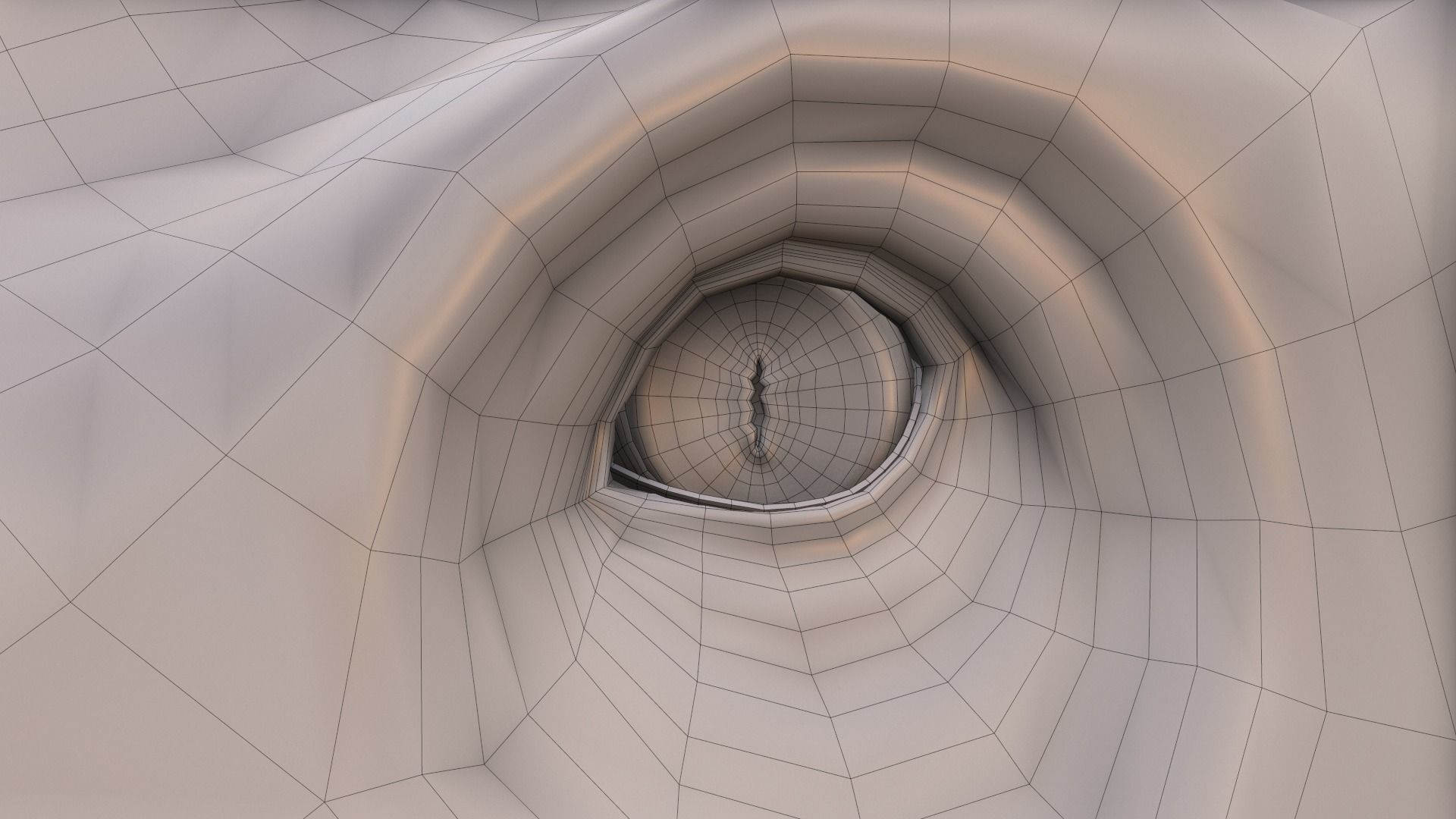 Suchomimus tenerensis Low-poly 3D model_13