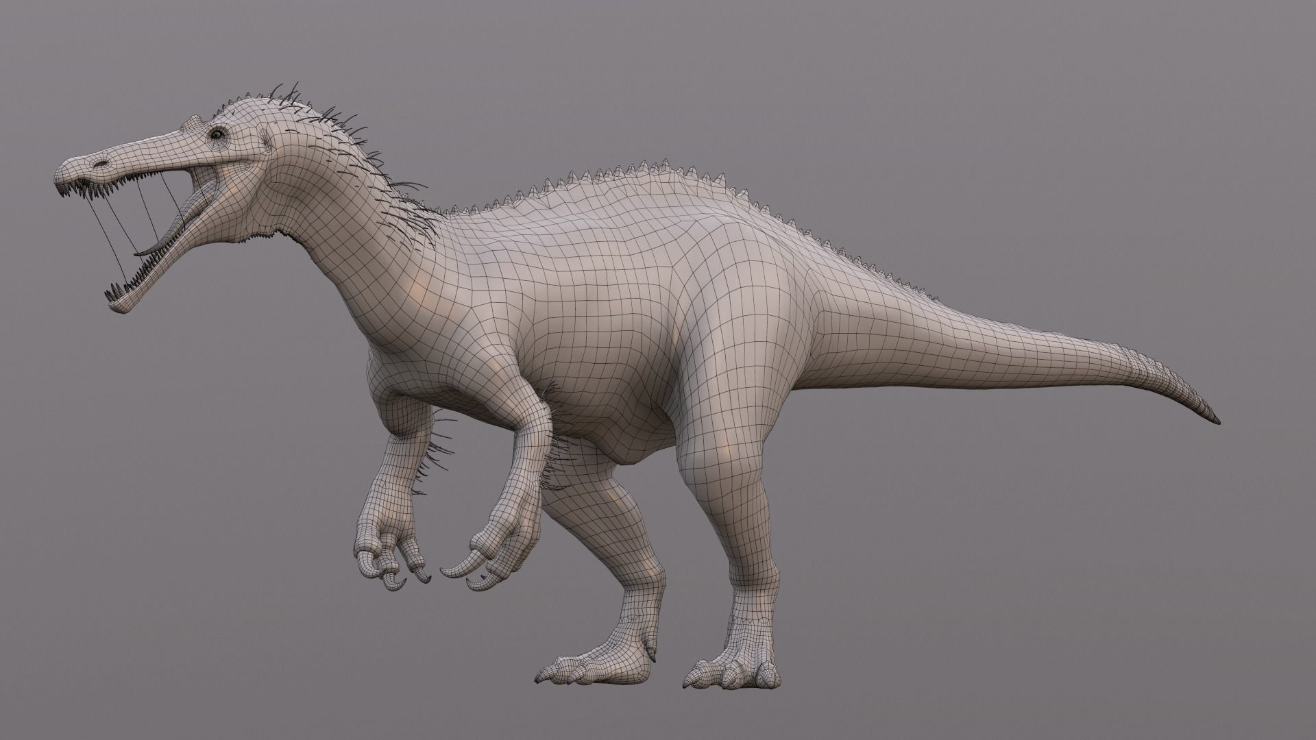 Suchomimus tenerensis Low-poly 3D model_10