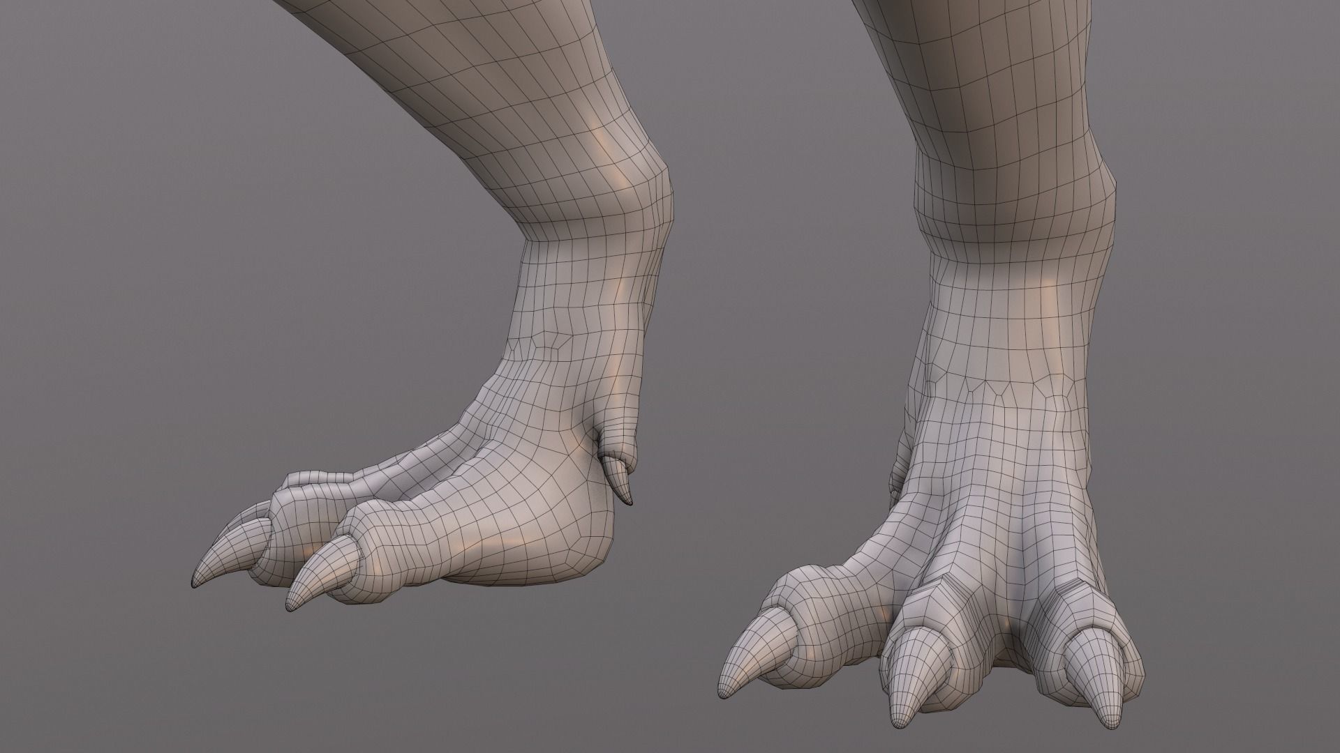 Suchomimus tenerensis Low-poly 3D model_16