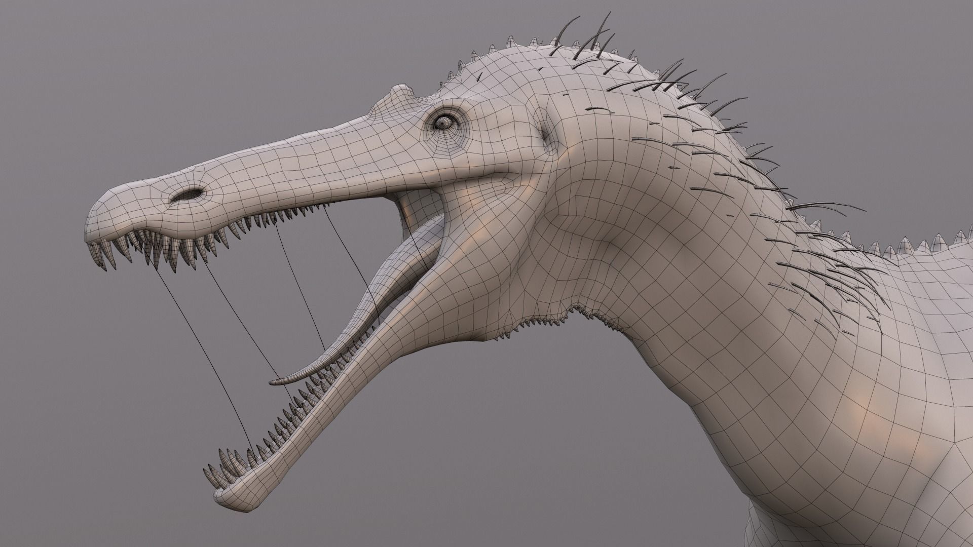 Suchomimus tenerensis Low-poly 3D model_14