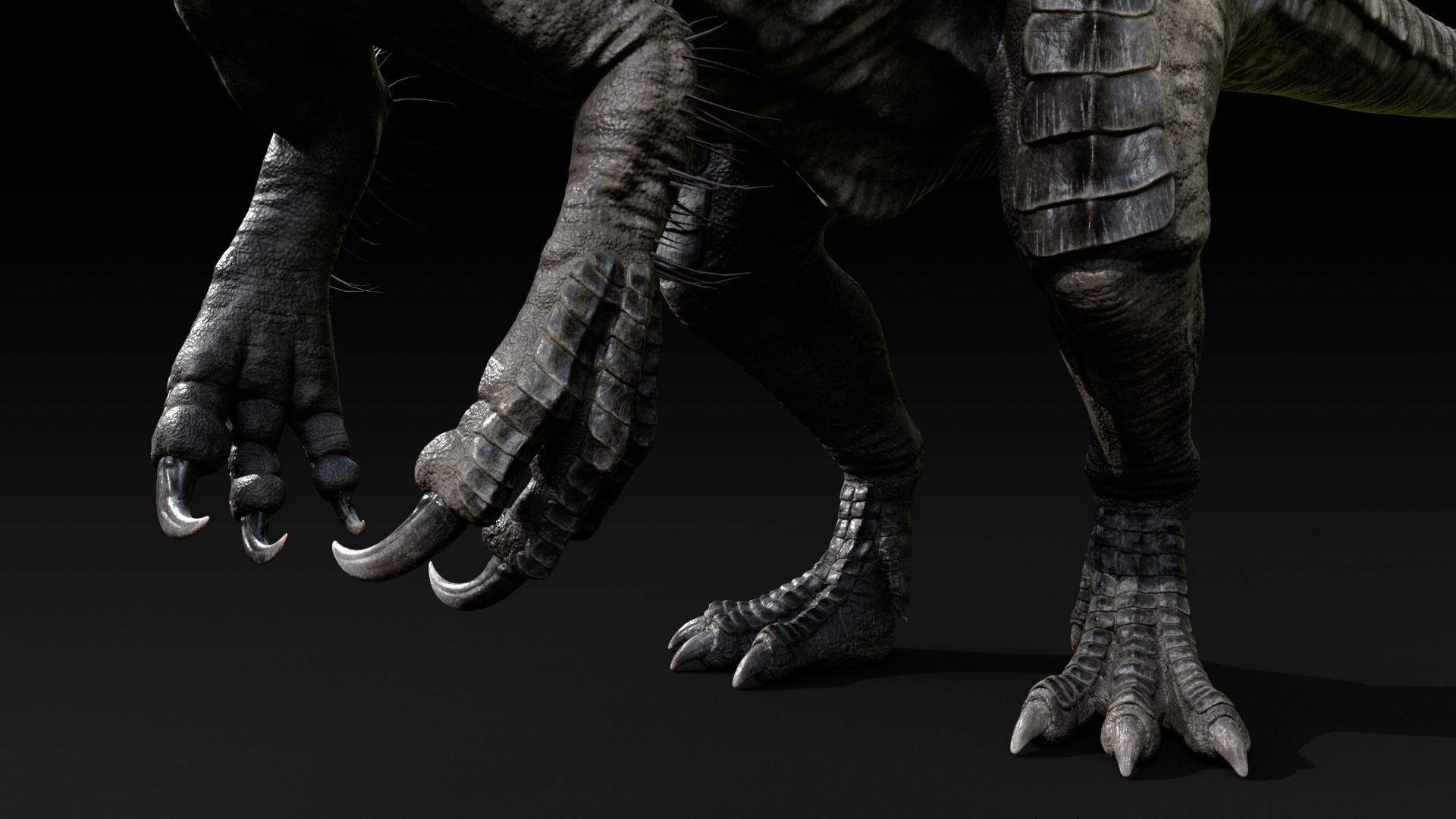 Suchomimus tenerensis Low-poly 3D model_6