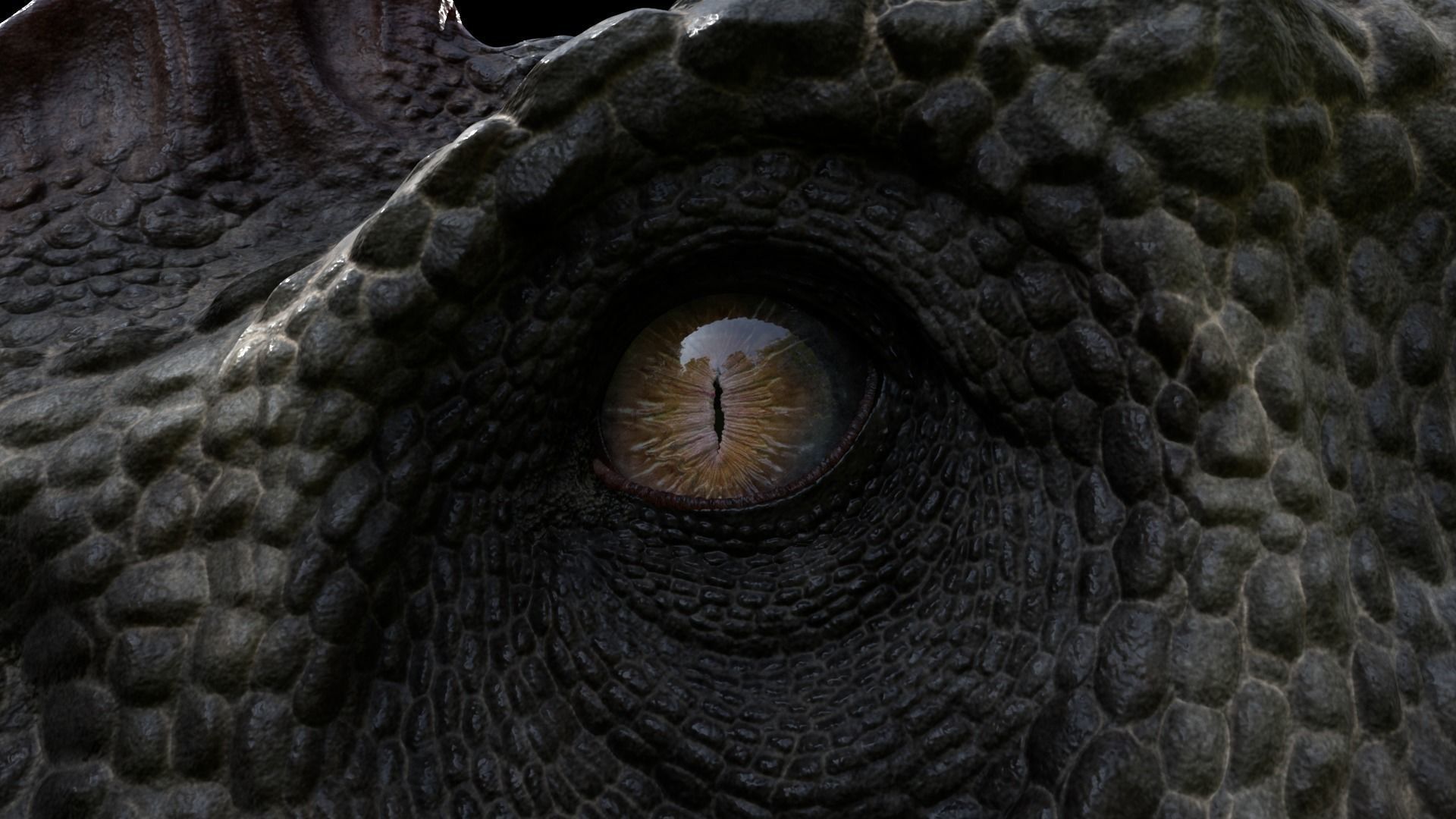 Suchomimus tenerensis Low-poly 3D model_4