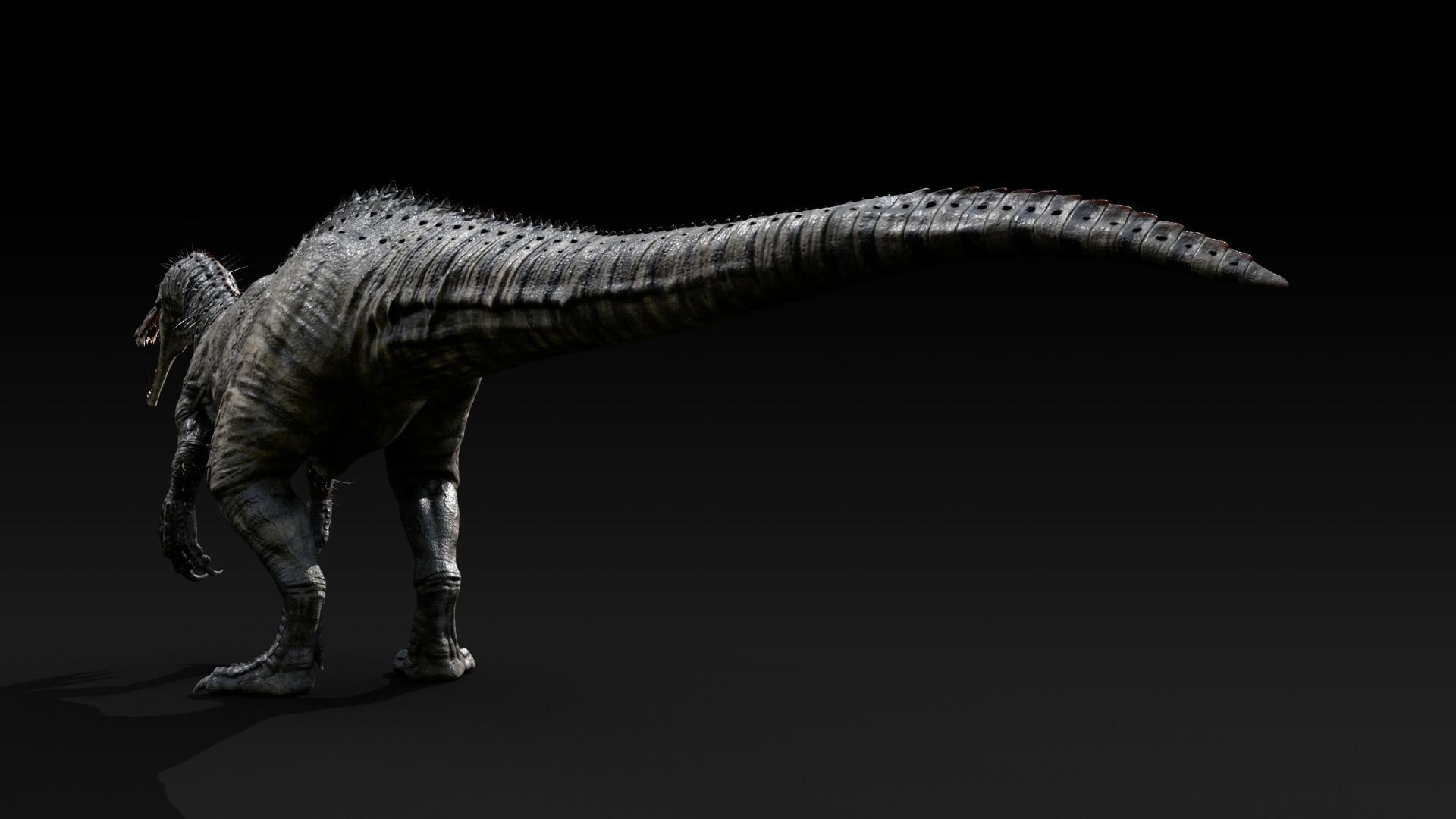 Suchomimus tenerensis Low-poly 3D model_7