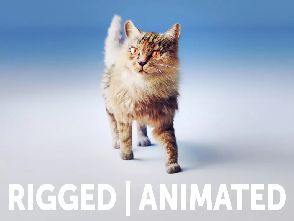 Rigged Cat Hyper Realistic model with Fur - 4 all 3d packages  Low-poly 3D model_0