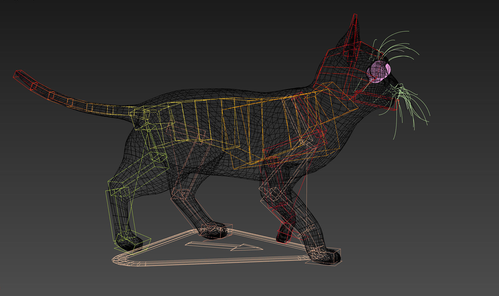 Rigged Cat Hyper Realistic model with Fur - 4 all 3d packages  Low-poly 3D model_2
