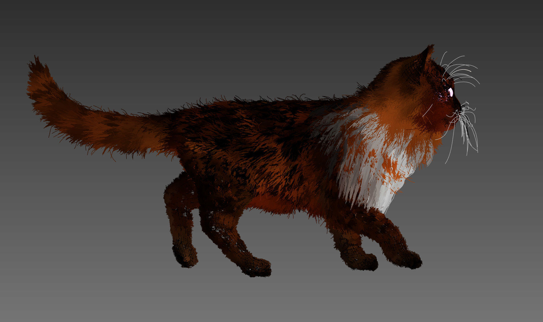 Rigged Cat Hyper Realistic model with Fur - 4 all 3d packages  Low-poly 3D model_4