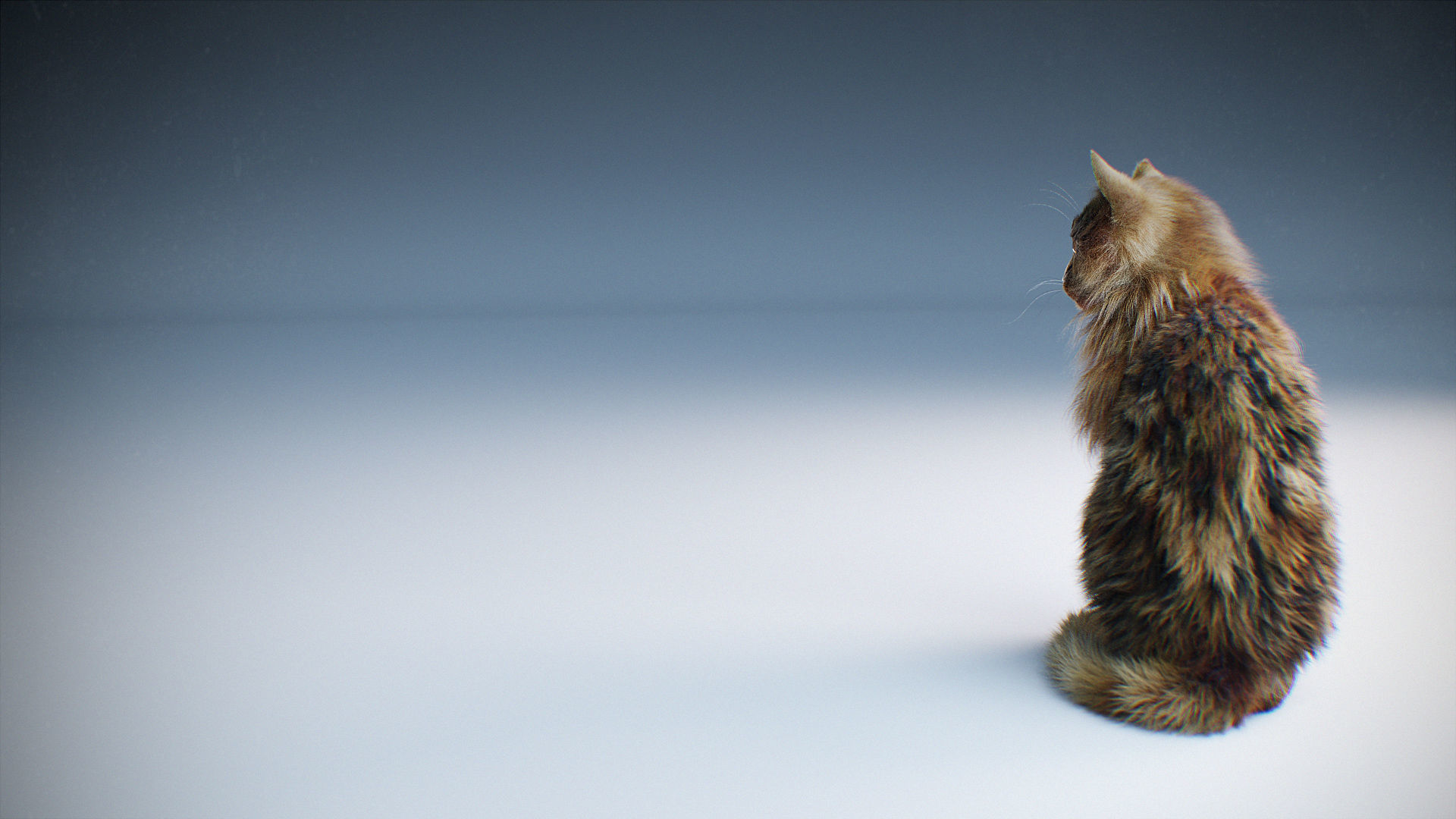 Rigged Cat Hyper Realistic model with Fur - 4 all 3d packages  Low-poly 3D model_7