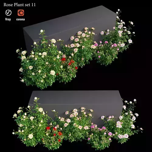 Rose plant set 11 3D model
