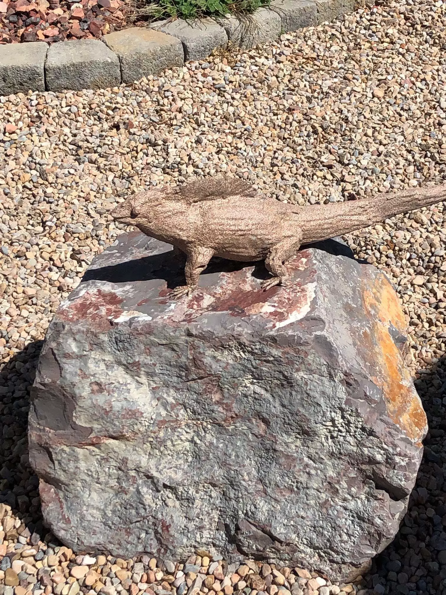 Kamodo Dragon 3D model_0