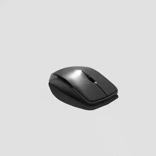 Generic Computer Mouse