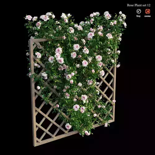 Rose plant set 12 3D model